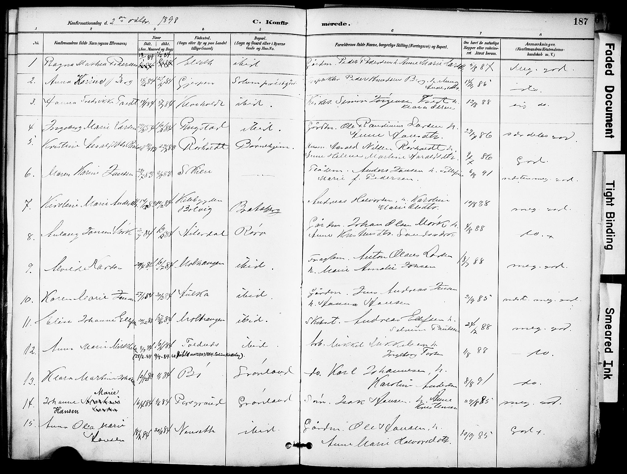 Solum kirkebøker, AV/SAKO-A-306/F/Fa/L0010: Parish register (official) no. I 10, 1888-1898, p. 187