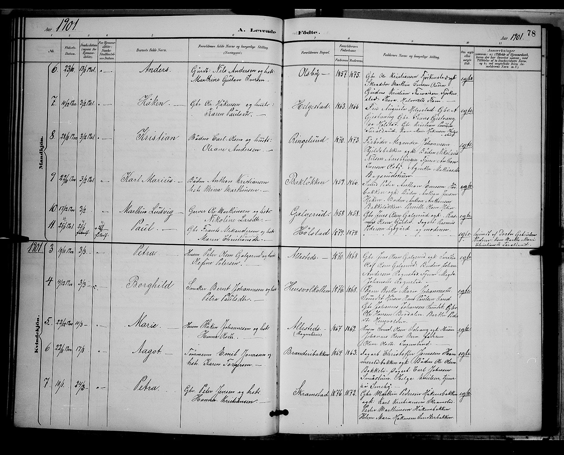 Østre Toten prestekontor, SAH/PREST-104/H/Ha/Hab/L0006: Parish register (copy) no. 6, 1893-1901, p. 78