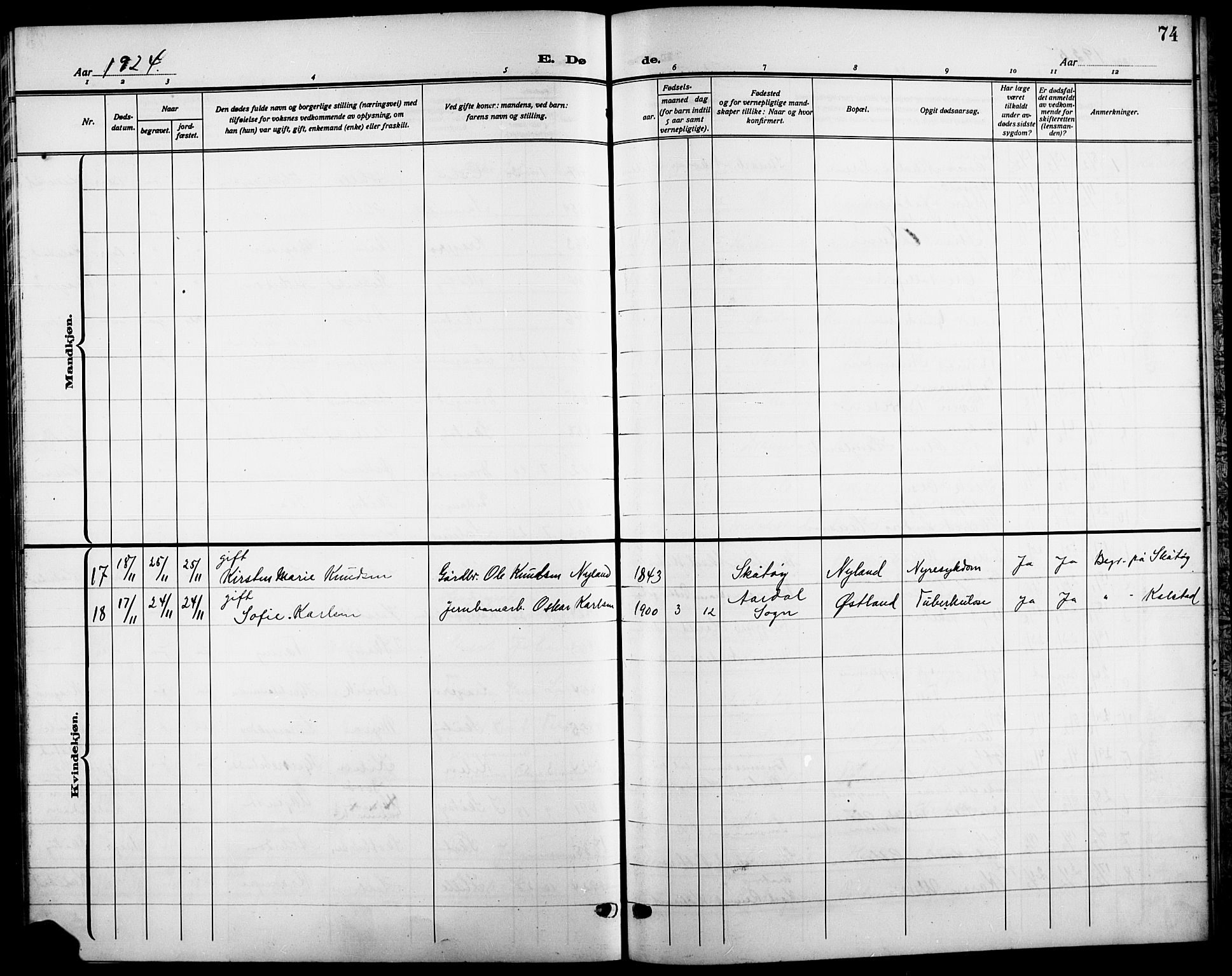 Skåtøy kirkebøker, AV/SAKO-A-304/G/Ga/L0005: Parish register (copy) no. I 5, 1915-1925, p. 74