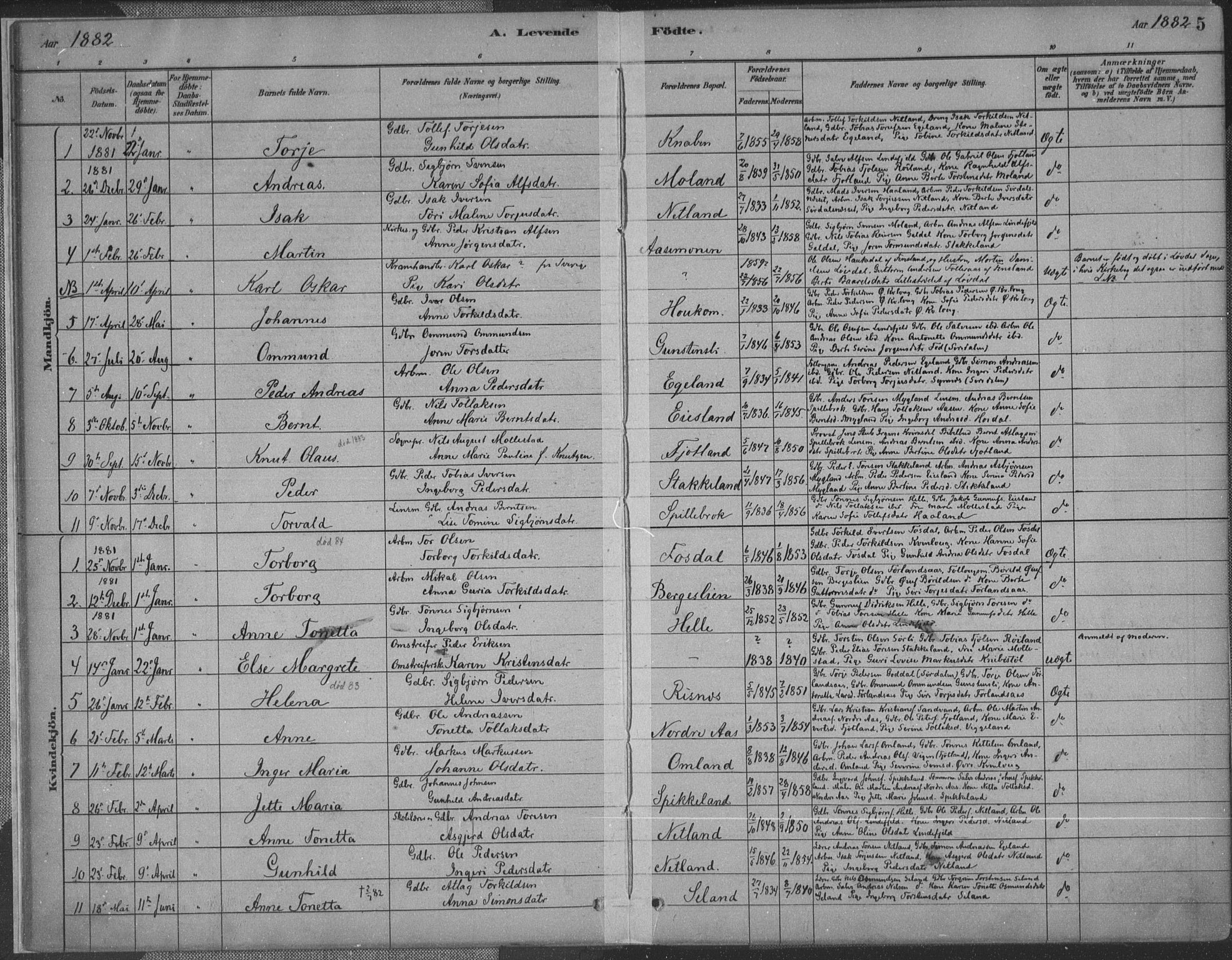 Fjotland sokneprestkontor, AV/SAK-1111-0010/F/Fa/L0002: Parish register (official) no. A 2, 1880-1898, p. 5