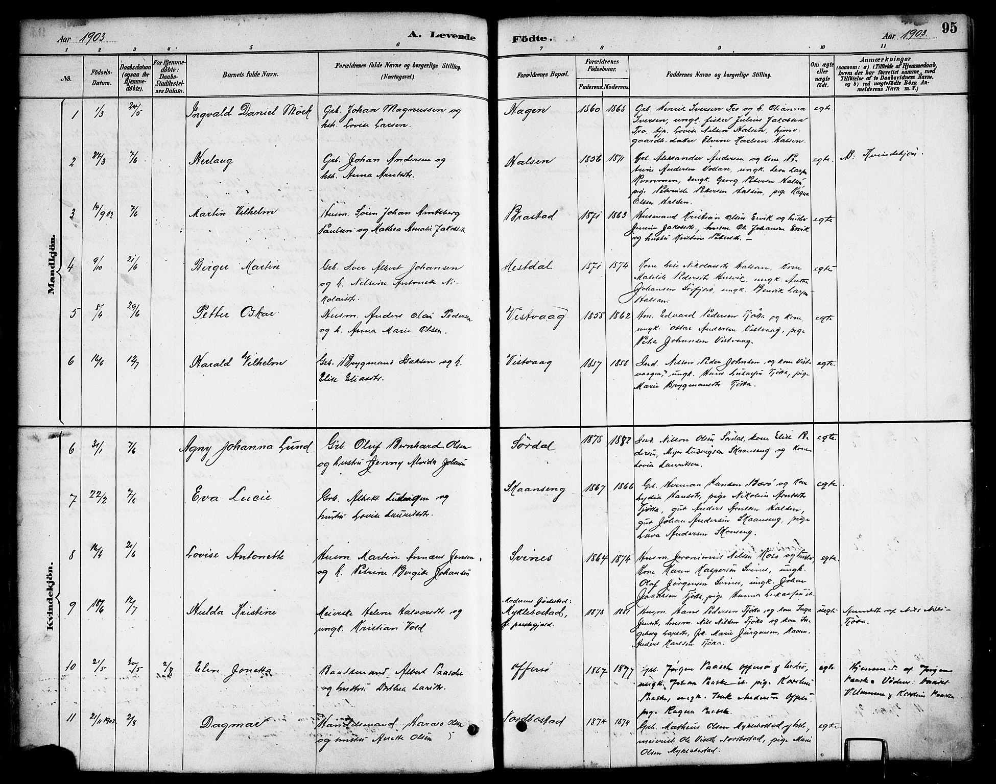 Ministerialprotokoller, klokkerbøker og fødselsregistre - Nordland, AV/SAT-A-1459/817/L0268: Parish register (copy) no. 817C03, 1884-1920, p. 95