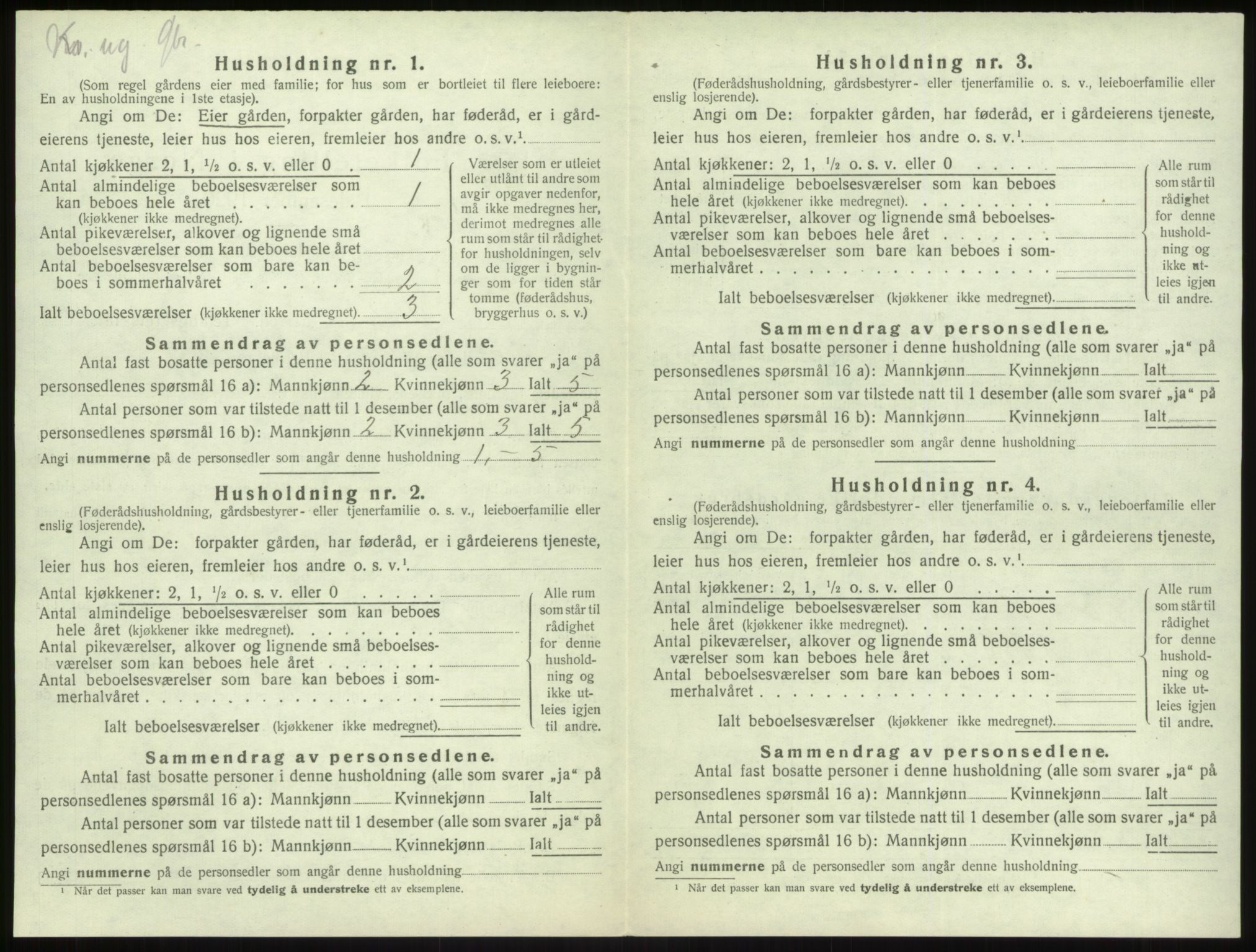 SAB, 1920 census for Vik, 1920, p. 1077