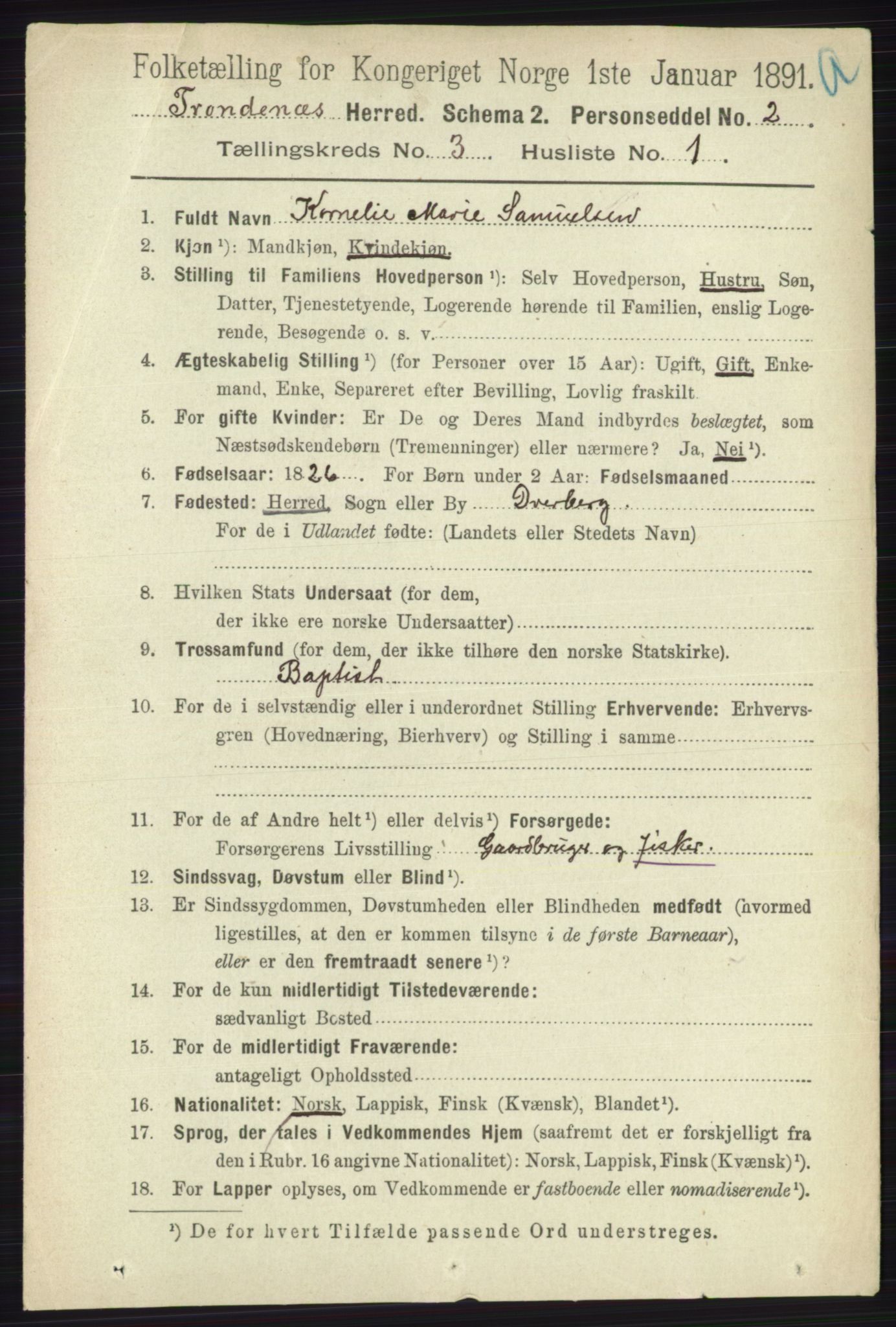 RA, 1891 census for 1914 Trondenes, 1891, p. 1203