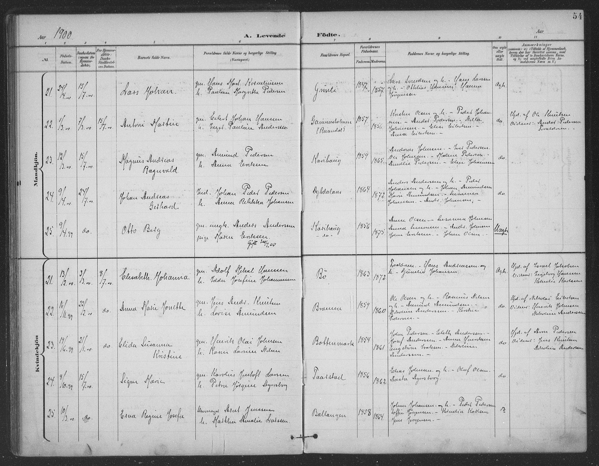Ministerialprotokoller, klokkerbøker og fødselsregistre - Nordland, AV/SAT-A-1459/863/L0899: Parish register (official) no. 863A11, 1897-1906, p. 54