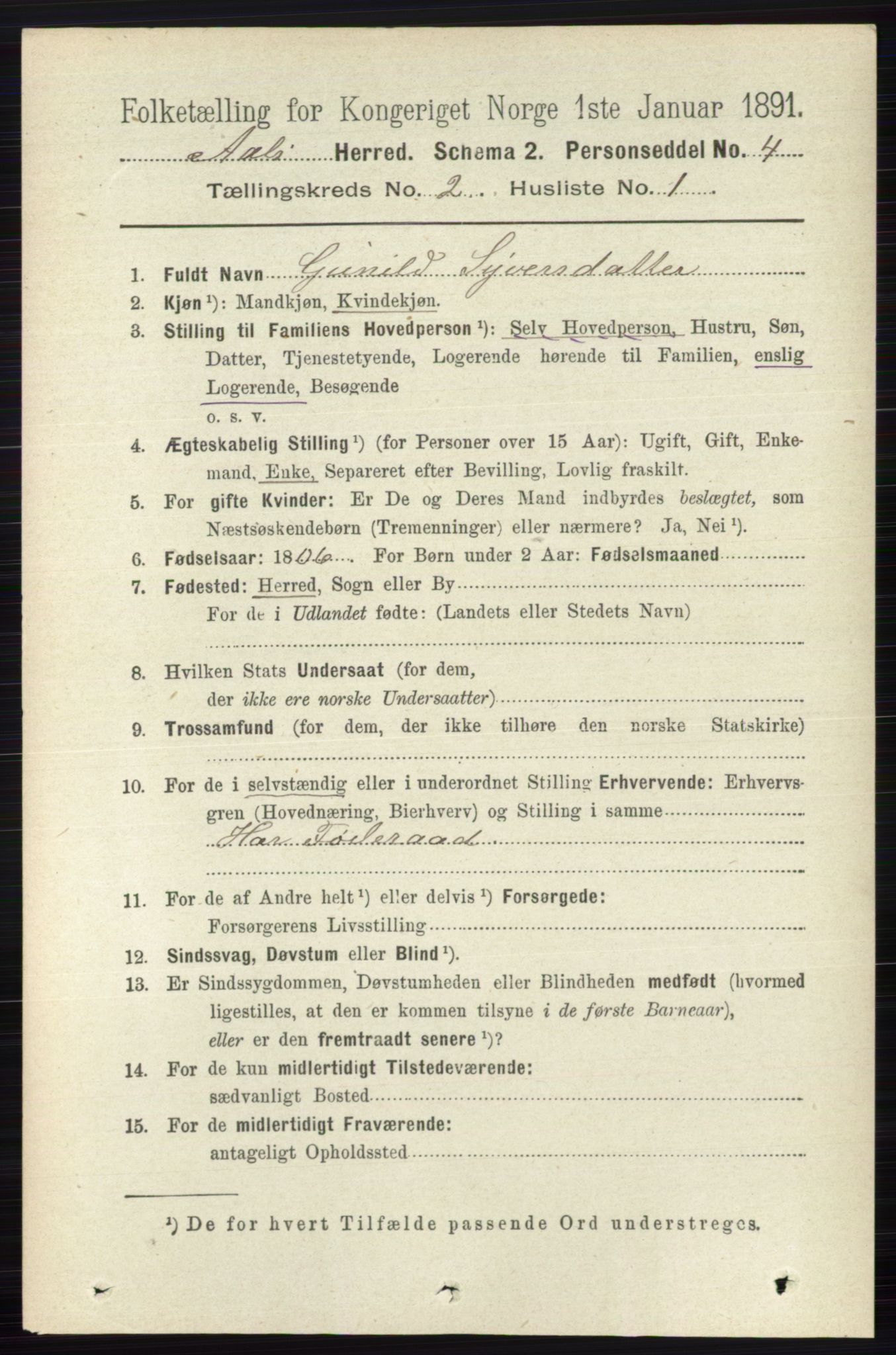 RA, 1891 census for 0619 Ål, 1891, p. 375