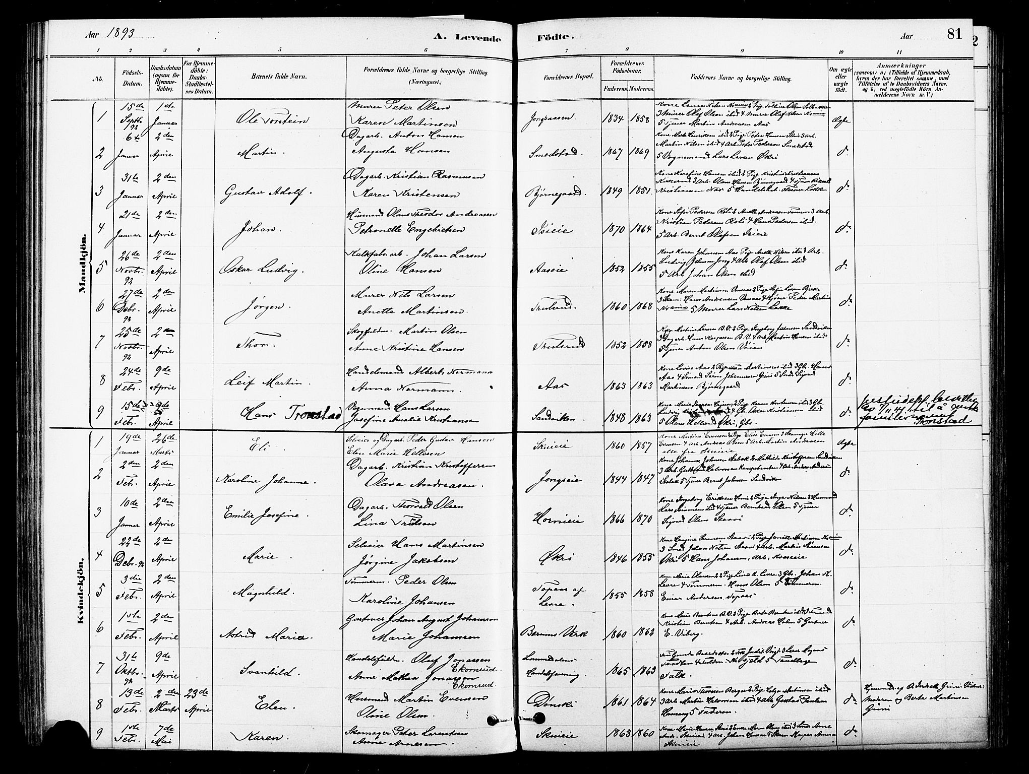 Asker prestekontor Kirkebøker, AV/SAO-A-10256a/F/Fb/L0001: Parish register (official) no. II 1, 1879-1895, p. 81