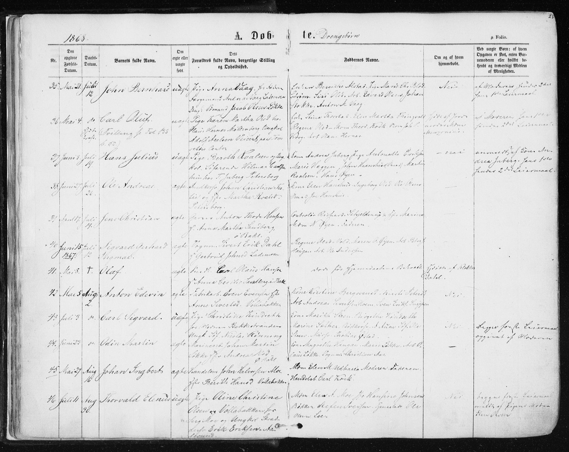 Ministerialprotokoller, klokkerbøker og fødselsregistre - Sør-Trøndelag, AV/SAT-A-1456/604/L0186: Parish register (official) no. 604A07, 1866-1877, p. 25