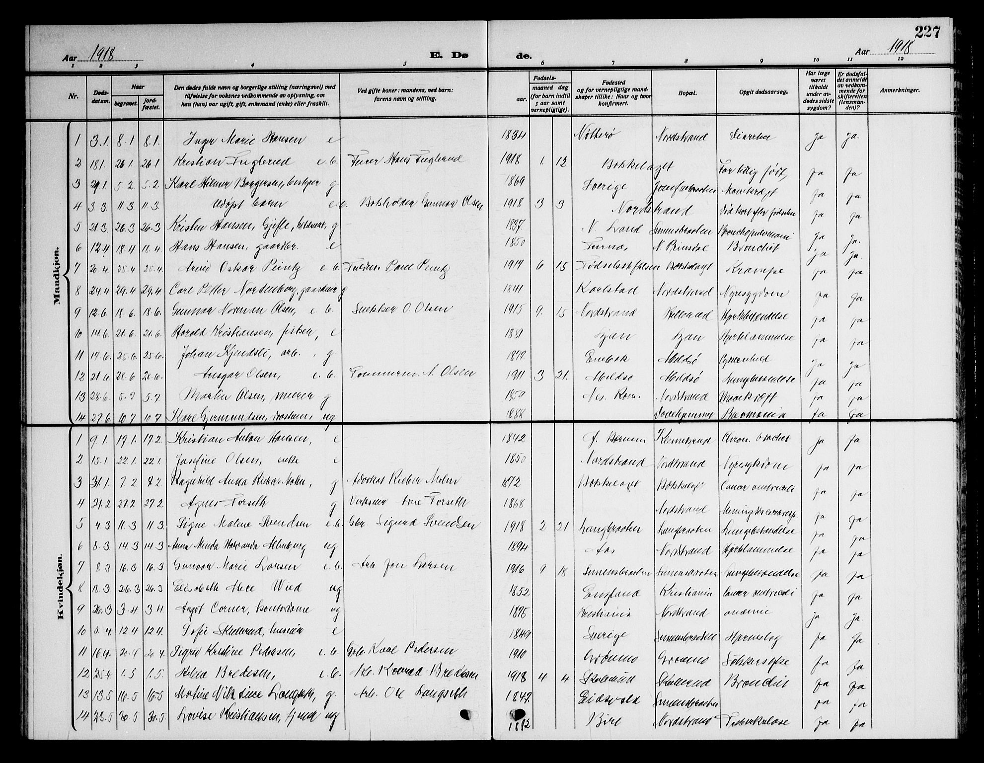 Nordstrand prestekontor Kirkebøker, AV/SAO-A-10362a/G/Ga/L0001: Parish register (copy) no. I 1, 1911-1918, p. 227