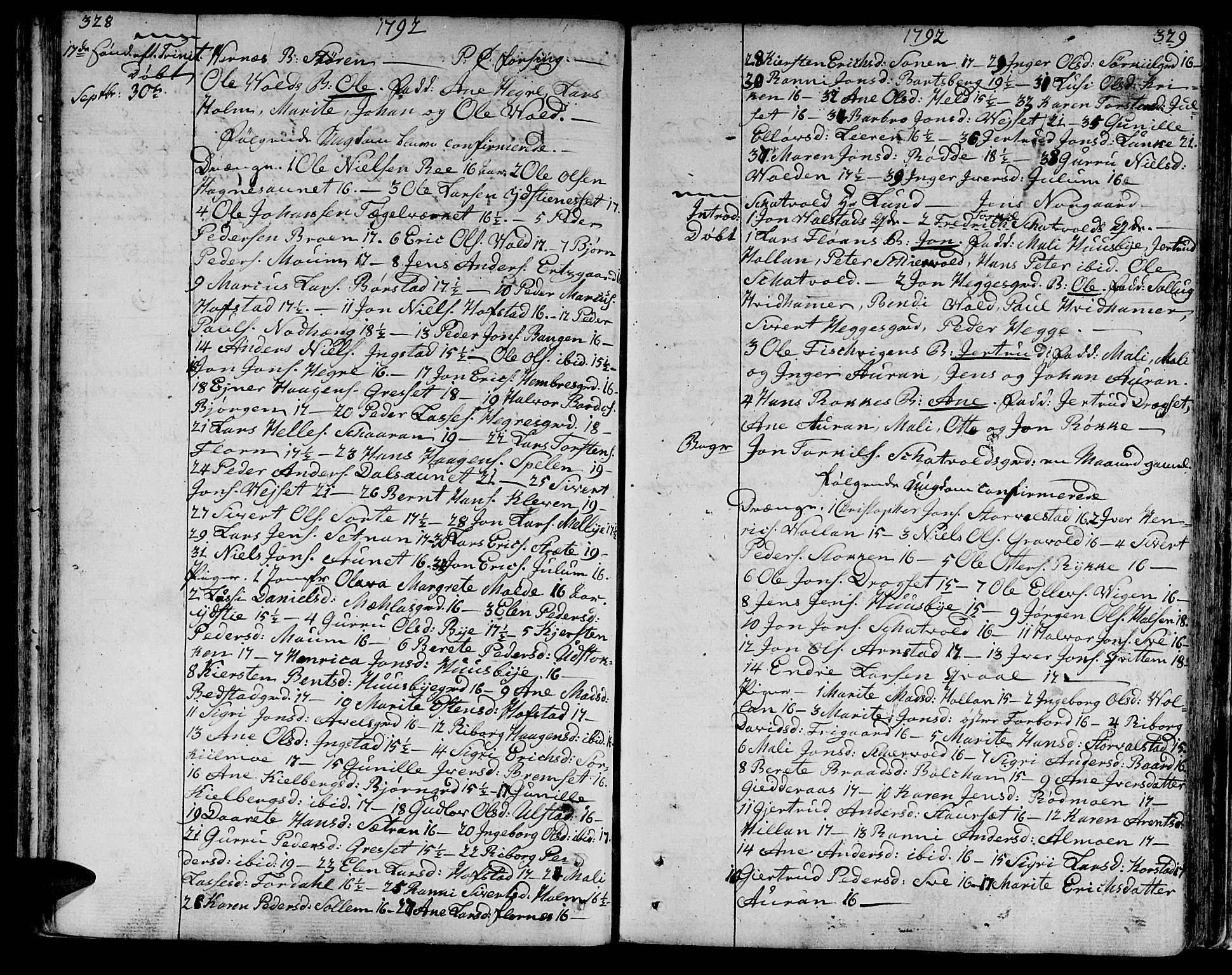 Ministerialprotokoller, klokkerbøker og fødselsregistre - Nord-Trøndelag, AV/SAT-A-1458/709/L0059: Parish register (official) no. 709A06, 1781-1797, p. 328-329