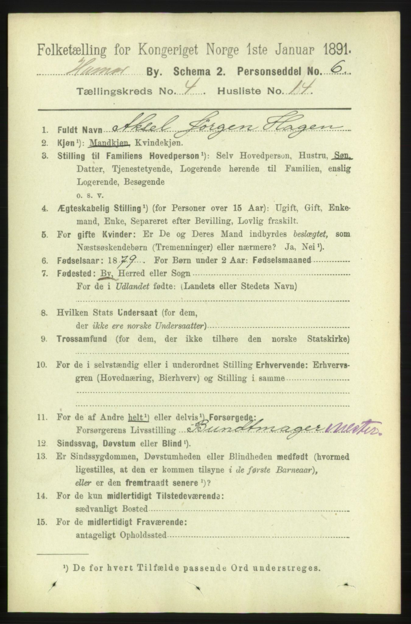 RA, 1891 census for 0401 Hamar, 1891, p. 3031