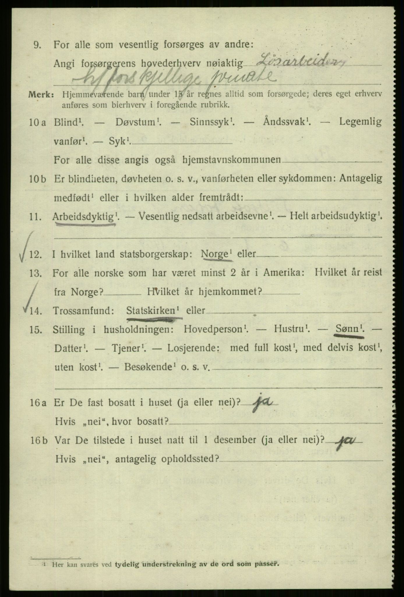 SAB, 1920 census for Bergen, 1920, p. 226733