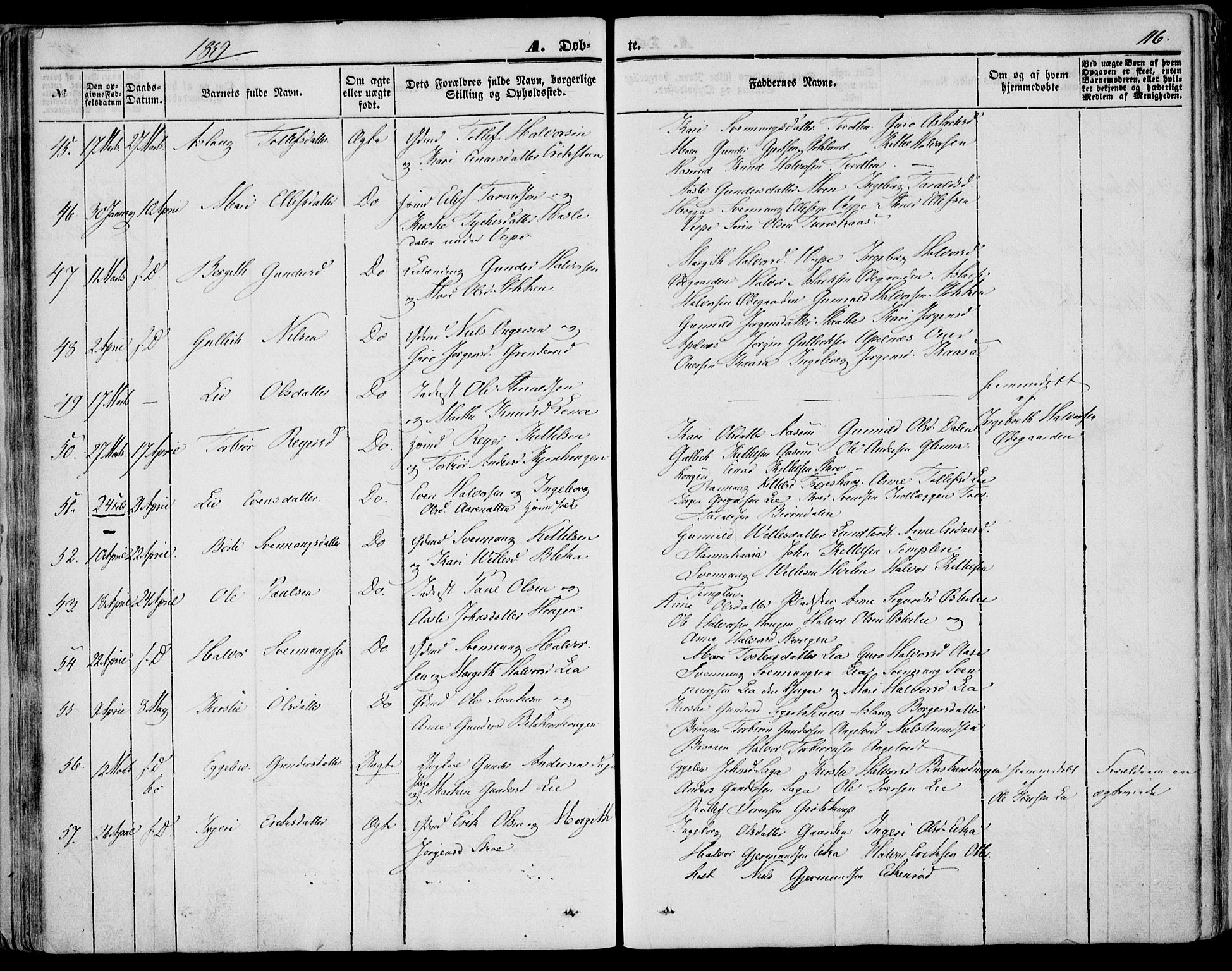 Bø kirkebøker, AV/SAKO-A-257/F/Fa/L0008: Parish register (official) no. 8, 1849-1861, p. 116