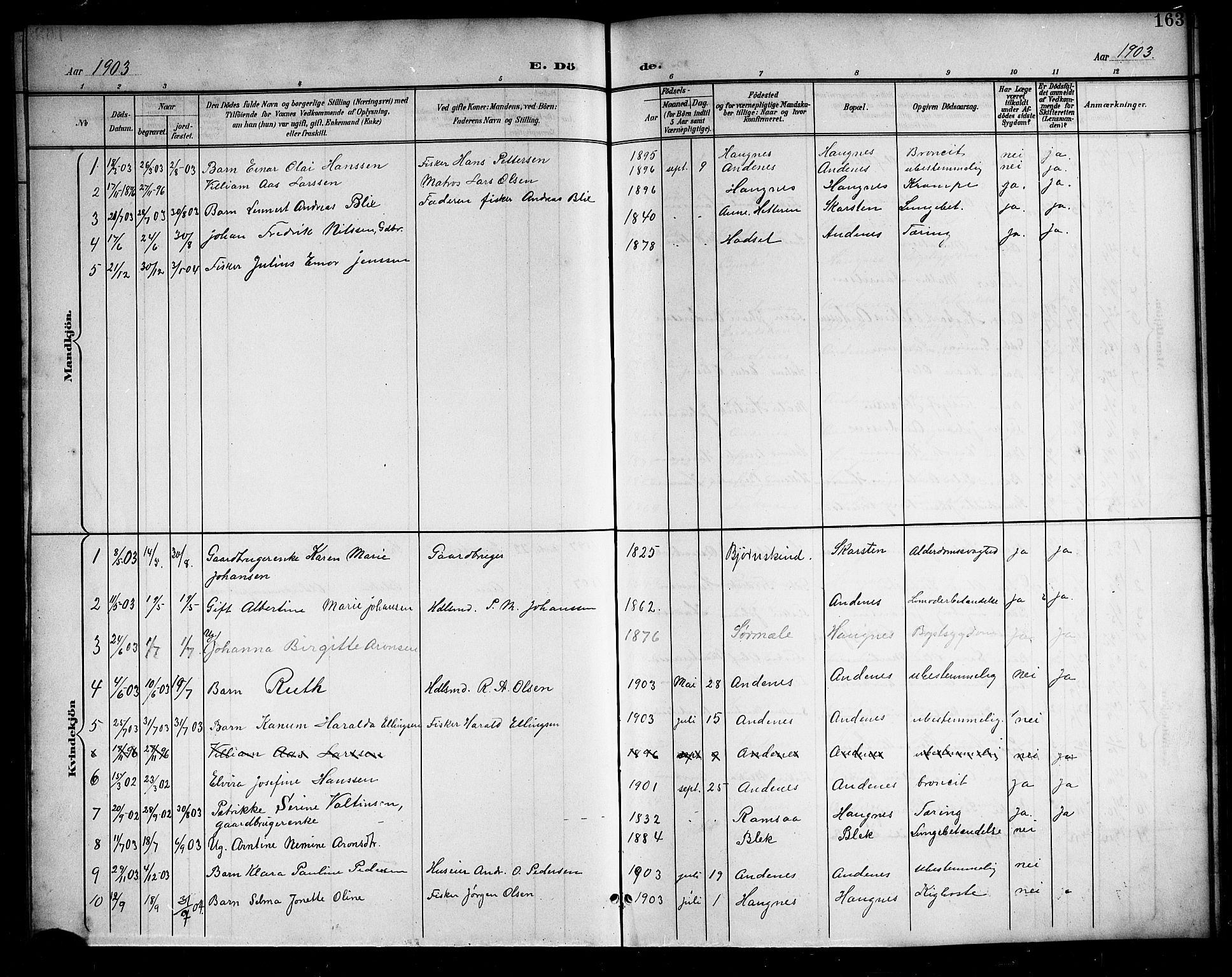 Ministerialprotokoller, klokkerbøker og fødselsregistre - Nordland, SAT/A-1459/899/L1449: Parish register (copy) no. 899C04, 1900-1918, p. 163