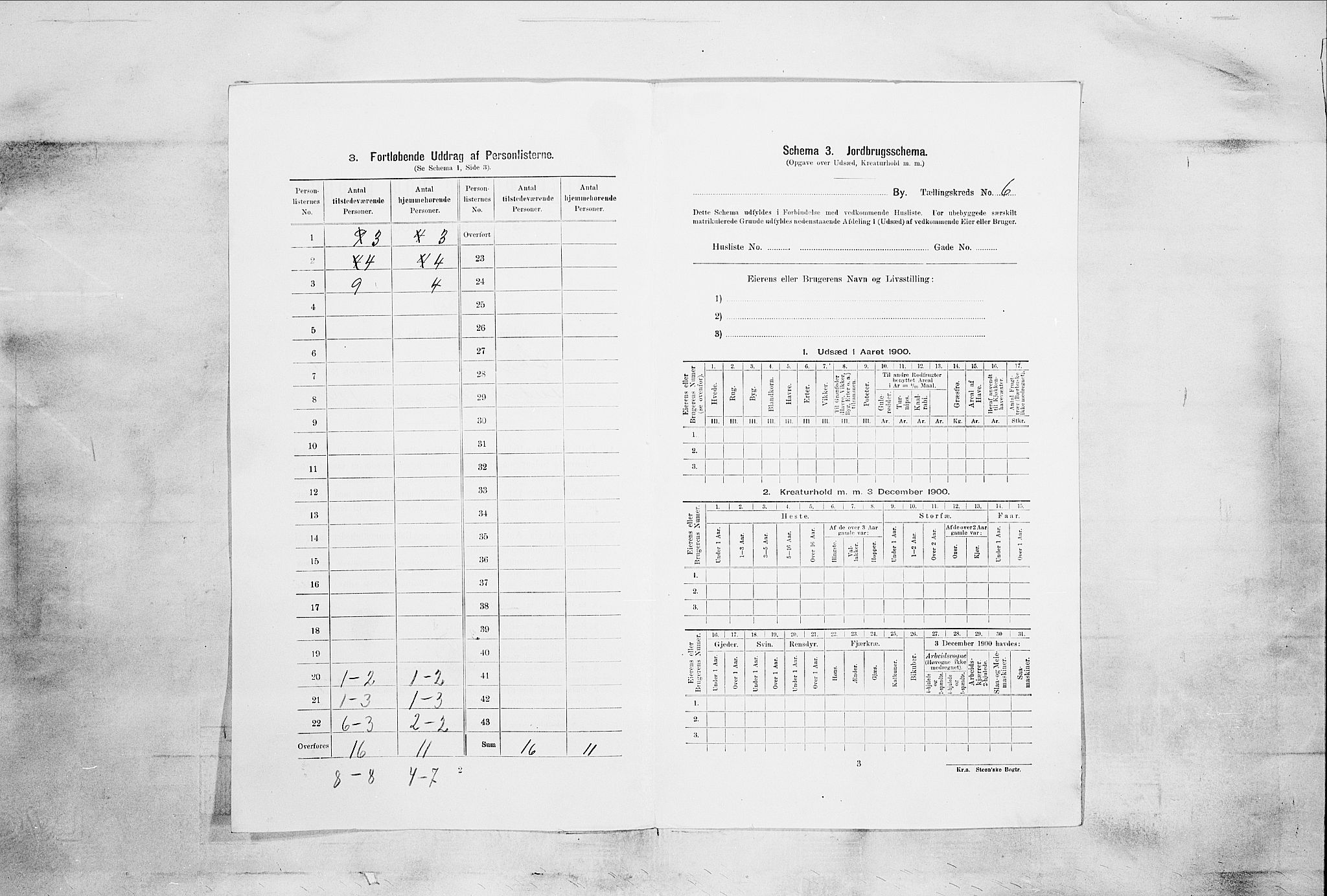 SAKO, 1900 census for Skien, 1900, p. 1001