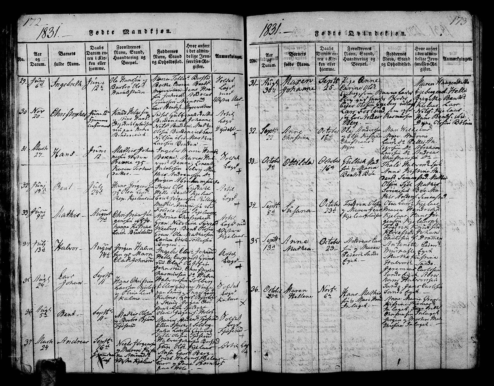 Sande Kirkebøker, SAKO/A-53/G/Ga/L0001: Parish register (copy) no. 1, 1814-1847, p. 172-173