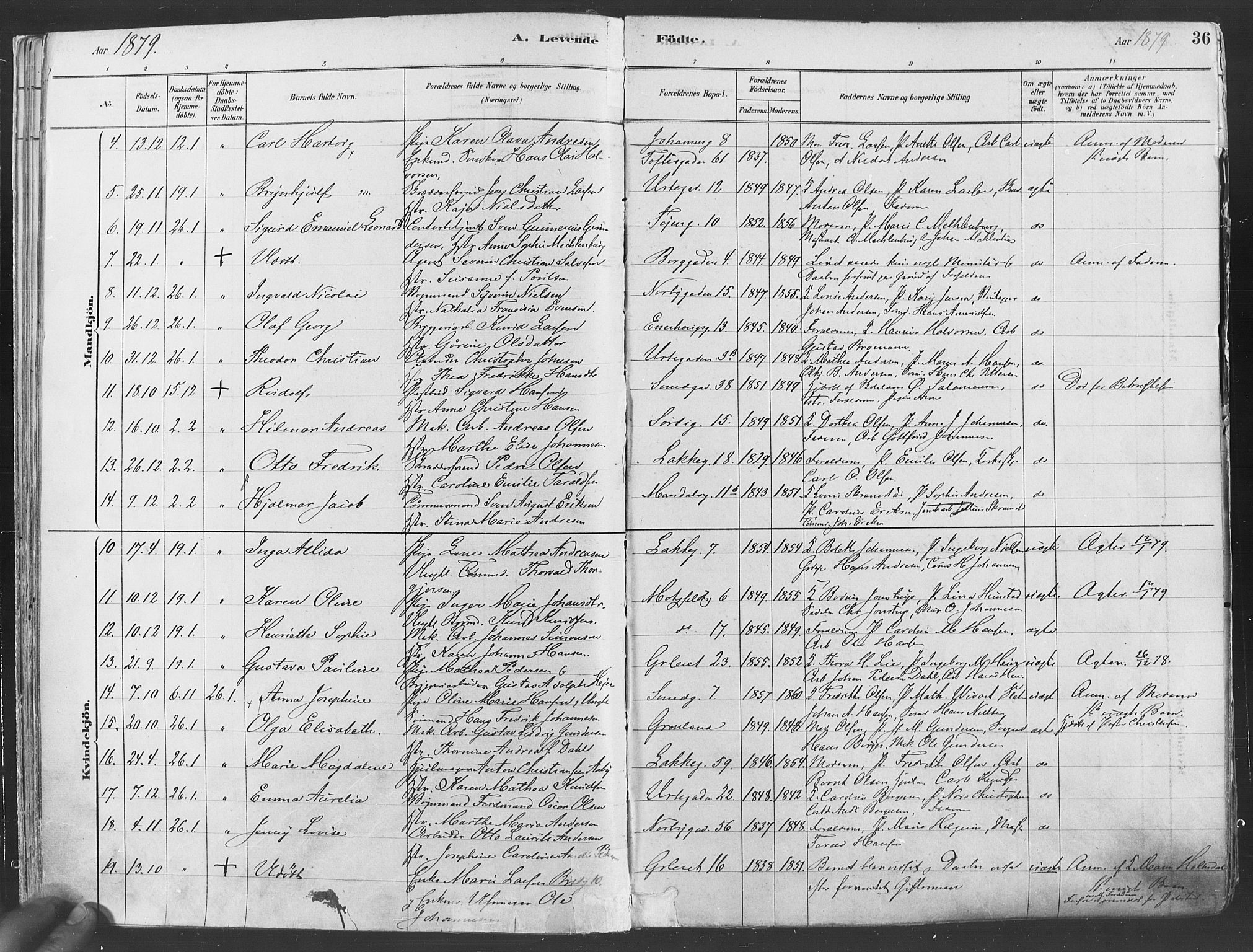 Grønland prestekontor Kirkebøker, AV/SAO-A-10848/F/Fa/L0007: Parish register (official) no. 7, 1878-1888, p. 36