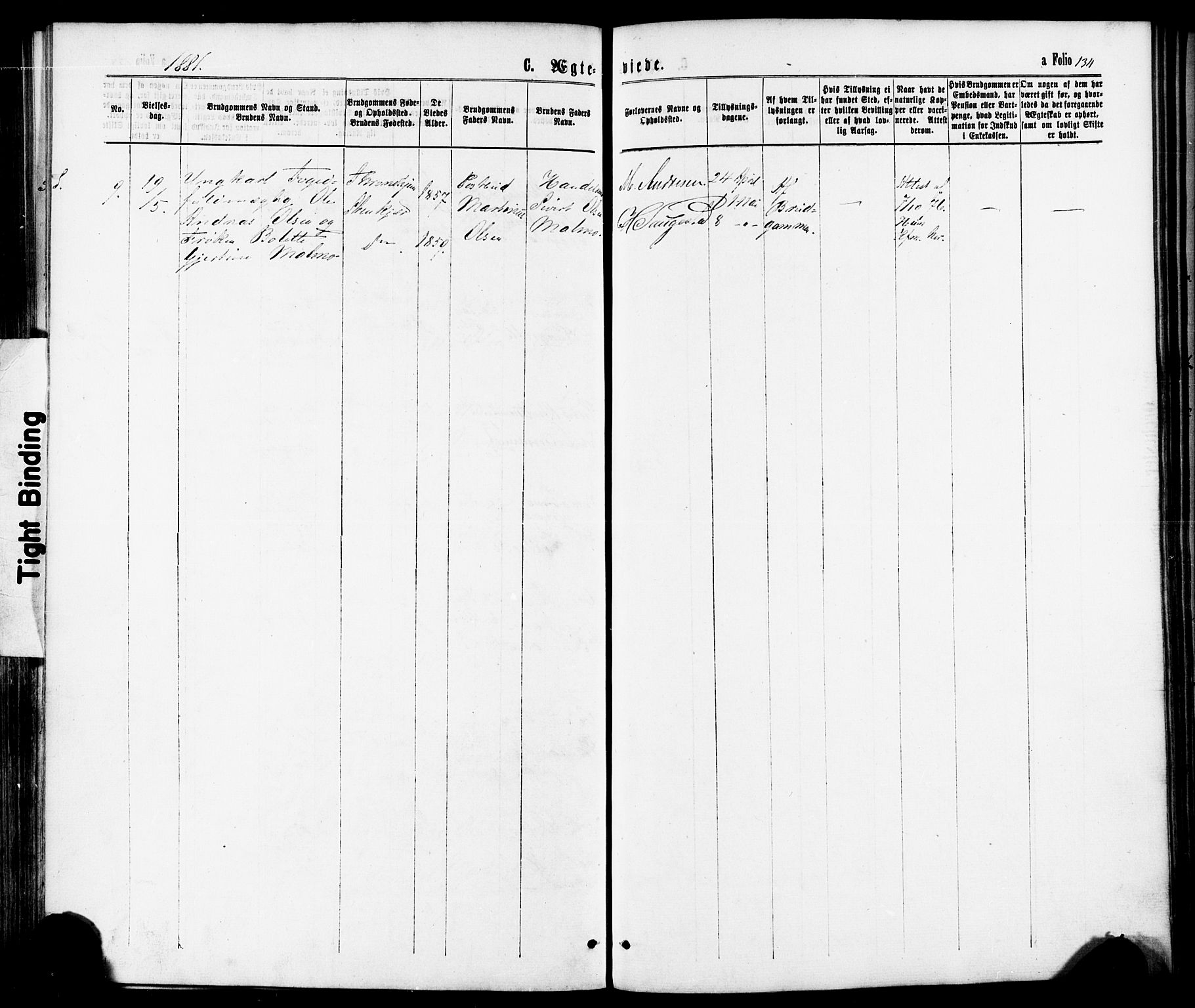 Ministerialprotokoller, klokkerbøker og fødselsregistre - Nord-Trøndelag, AV/SAT-A-1458/739/L0370: Parish register (official) no. 739A02, 1868-1881, p. 134