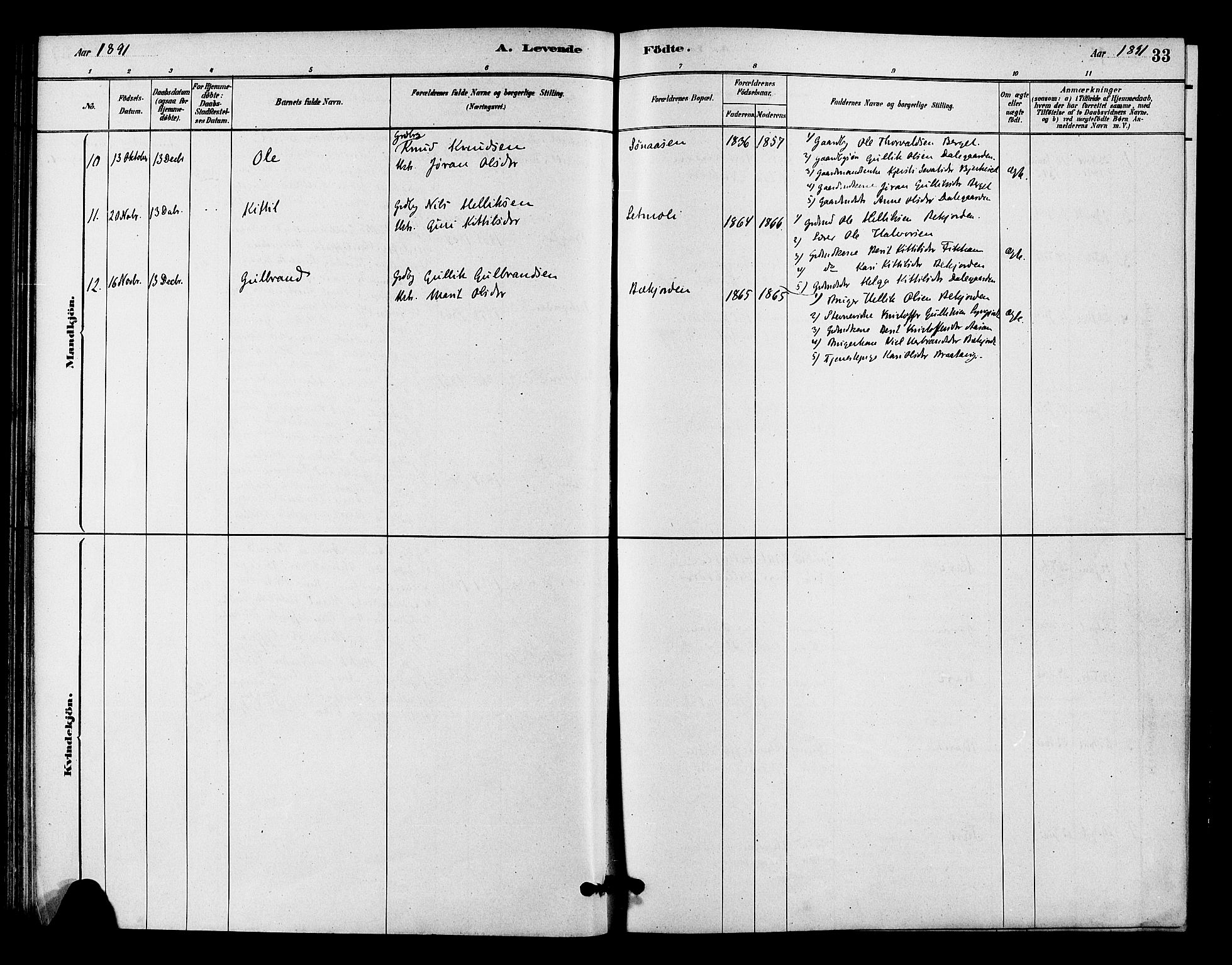 Flesberg kirkebøker, AV/SAKO-A-18/F/Fc/L0001: Parish register (official) no. III 1, 1879-1905, p. 33