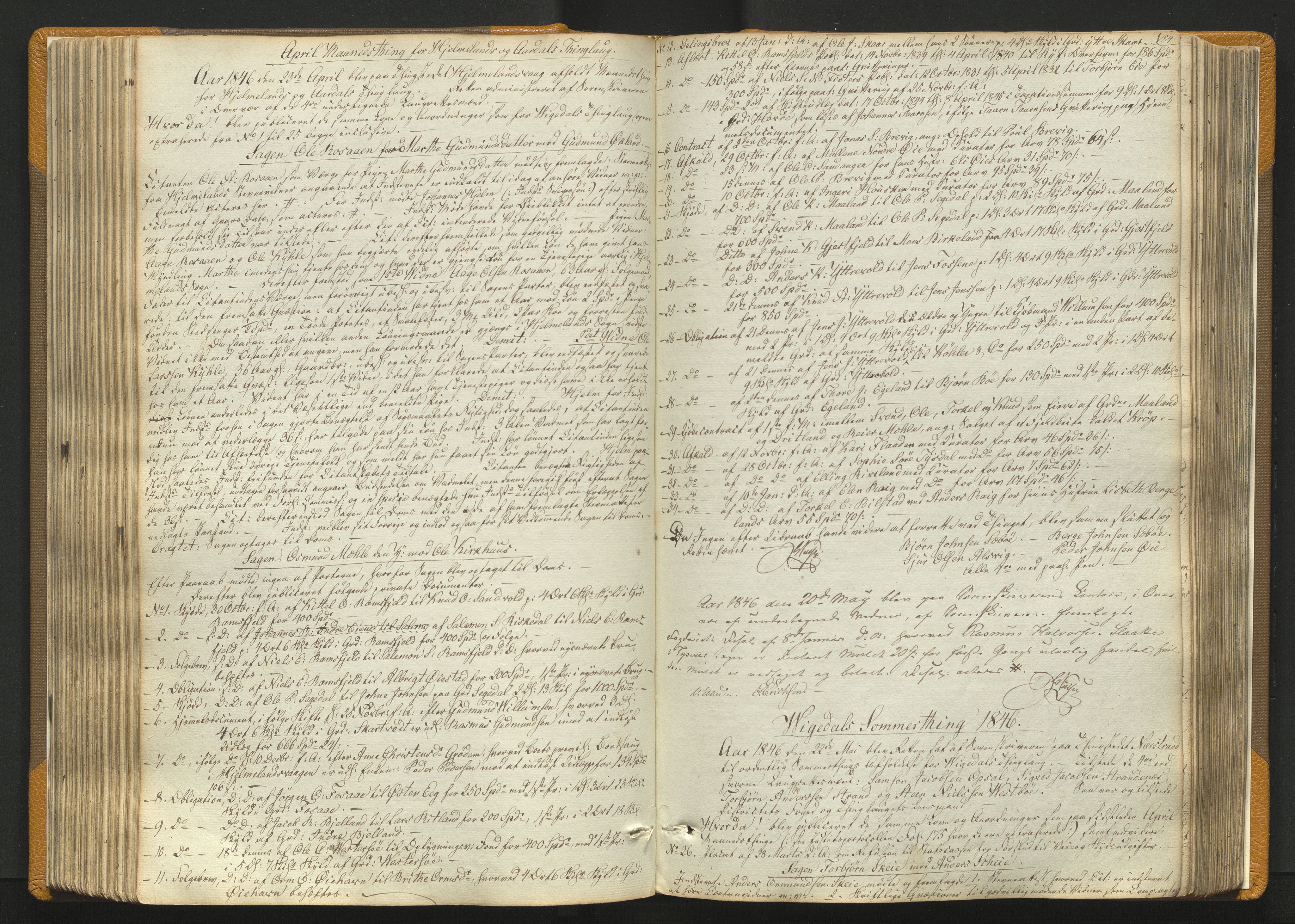 Ryfylke tingrett, AV/SAST-A-100055/001/I/IB/IB0/L0008: Tingbok, Ryfylke, 1843-1849, p. 183b-184a