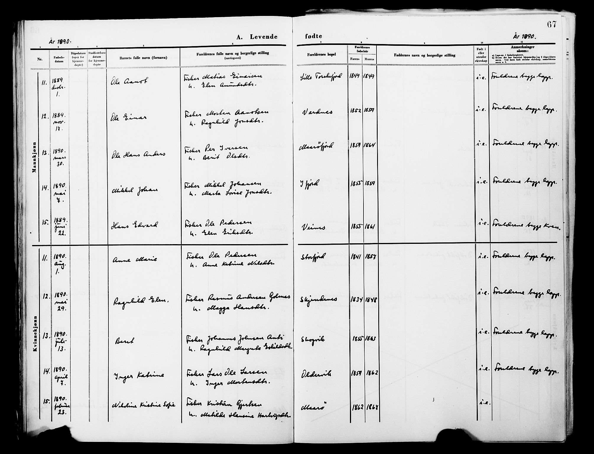 Lebesby sokneprestkontor, AV/SATØ-S-1353/H/Ha/L0004kirke: Parish register (official) no. 4, 1870-1902, p. 67