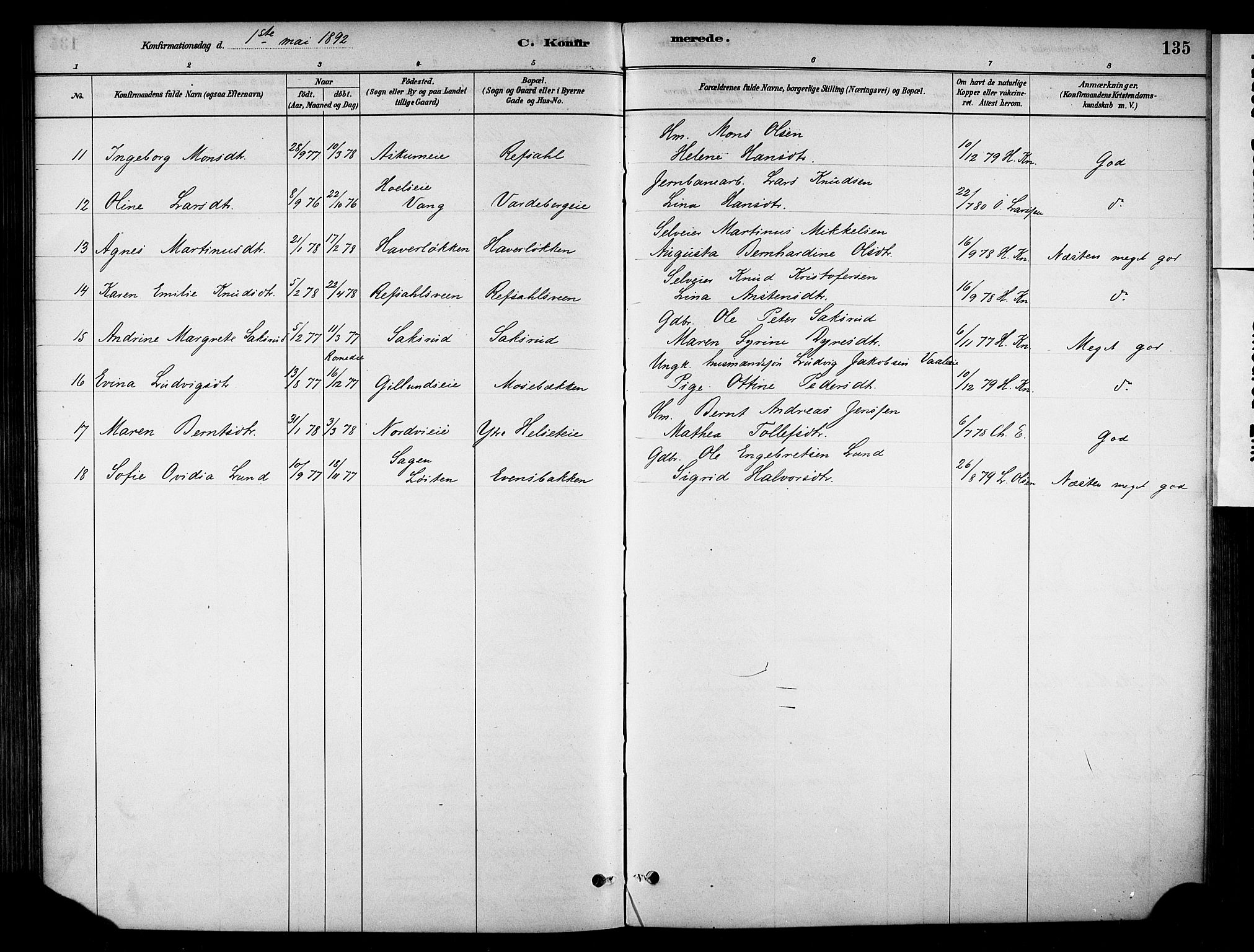 Stange prestekontor, AV/SAH-PREST-002/K/L0018: Parish register (official) no. 18, 1880-1896, p. 135