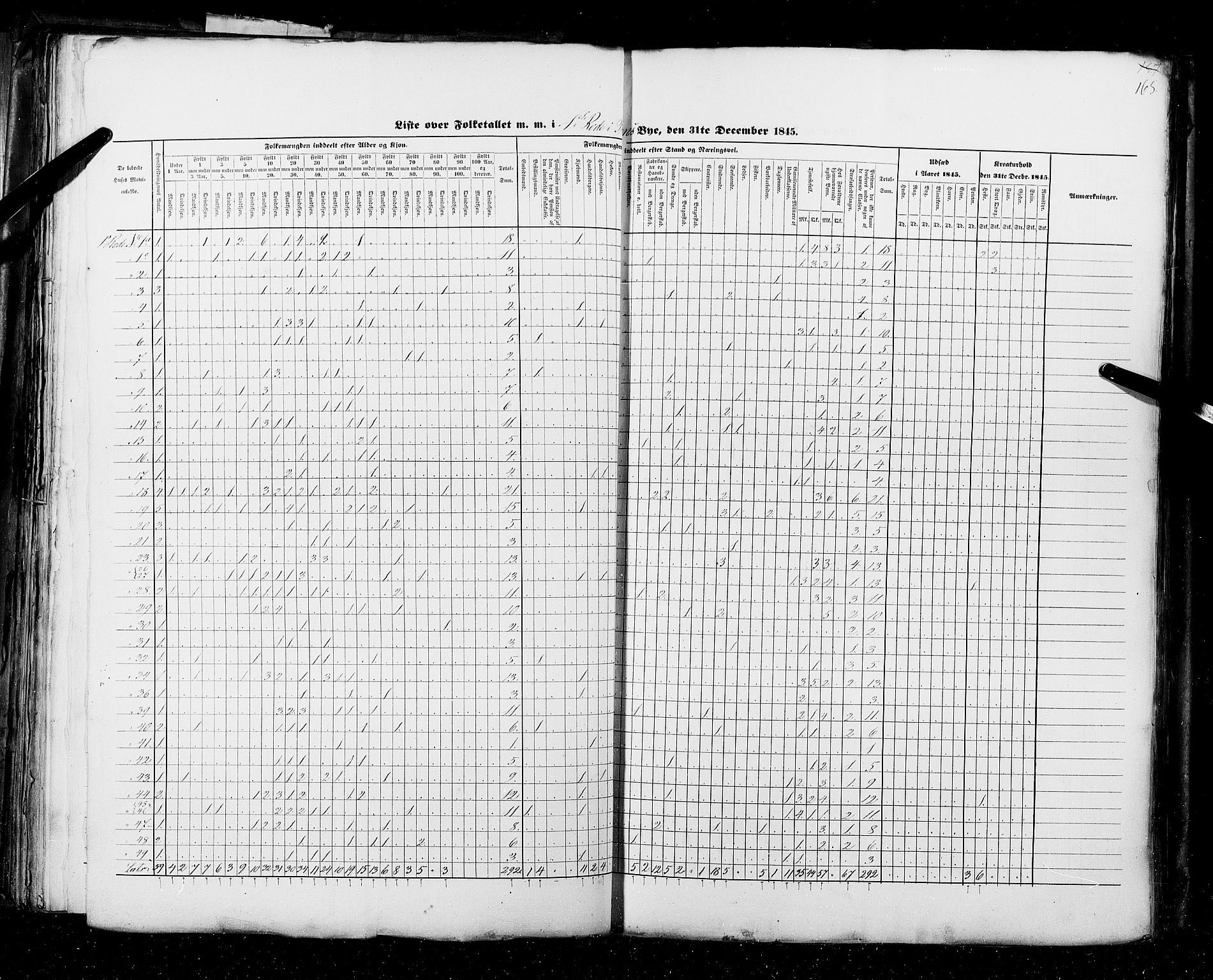 RA, Census 1845, vol. 11: Cities, 1845, p. 165