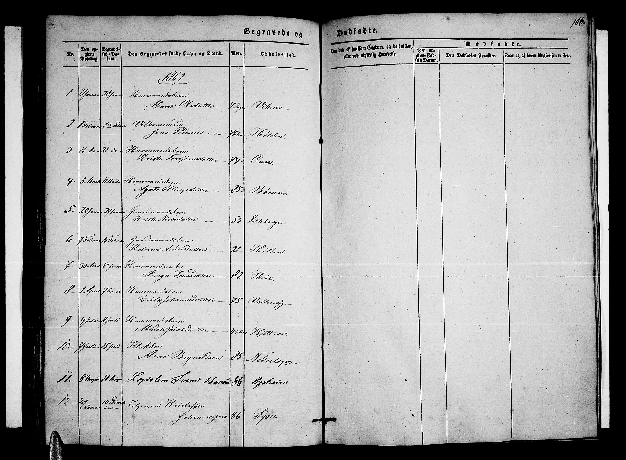 Ulvik sokneprestembete, AV/SAB-A-78801/H/Hab: Parish register (copy) no. A 1, 1855-1868, p. 106