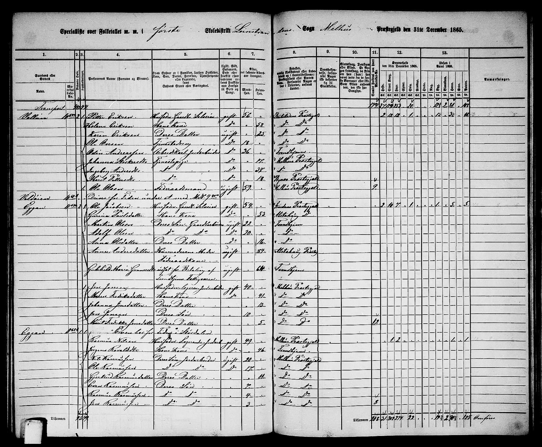 RA, 1865 census for Melhus, 1865, p. 207