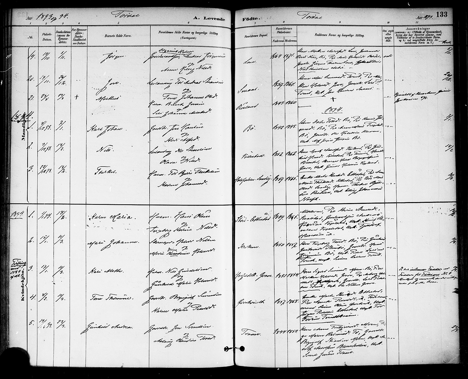 Drangedal kirkebøker, SAKO/A-258/F/Fa/L0010: Parish register (official) no. 10 /2, 1885-1894, p. 133