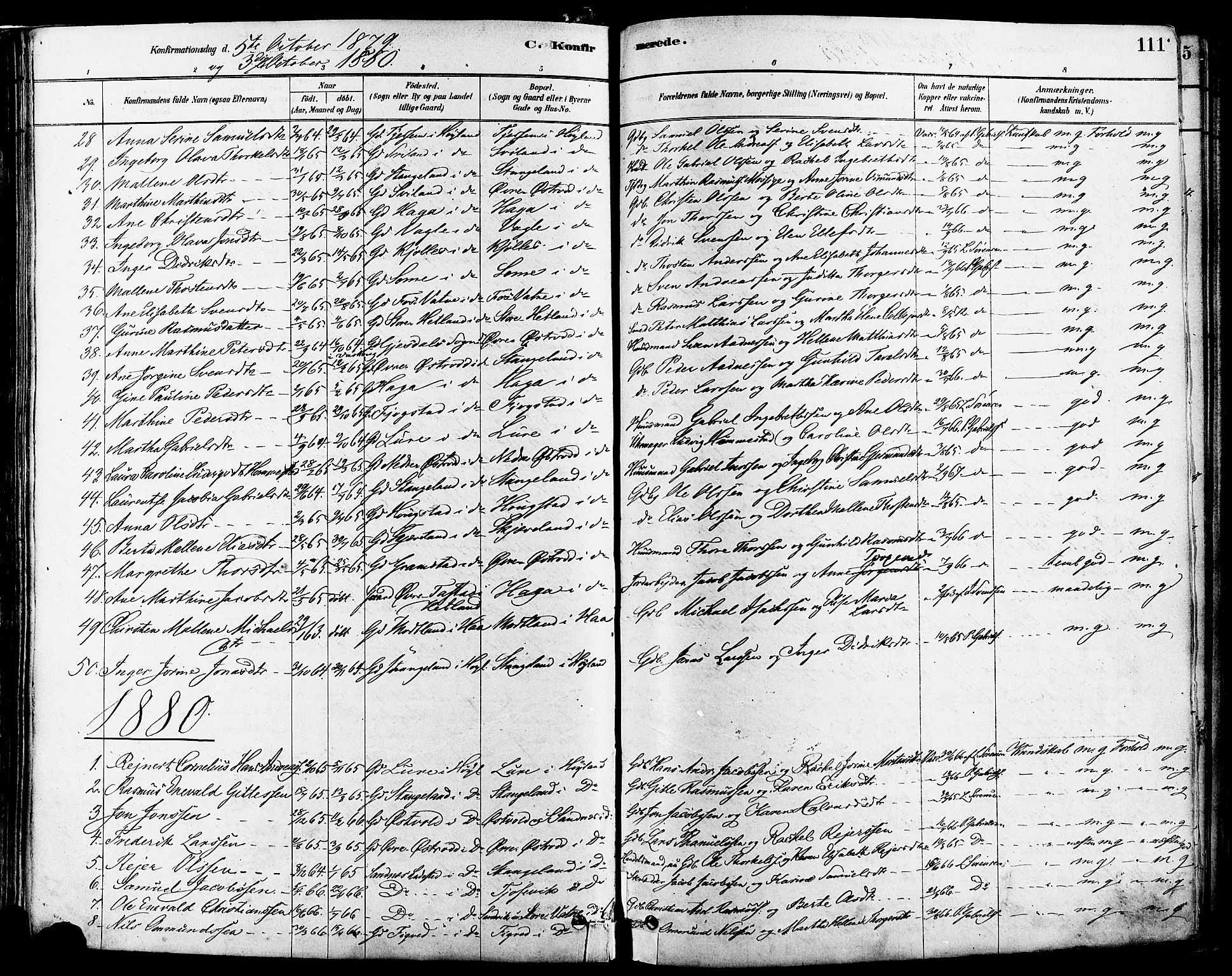 Høyland sokneprestkontor, SAST/A-101799/001/30BA/L0011: Parish register (official) no. A 10, 1878-1888, p. 111