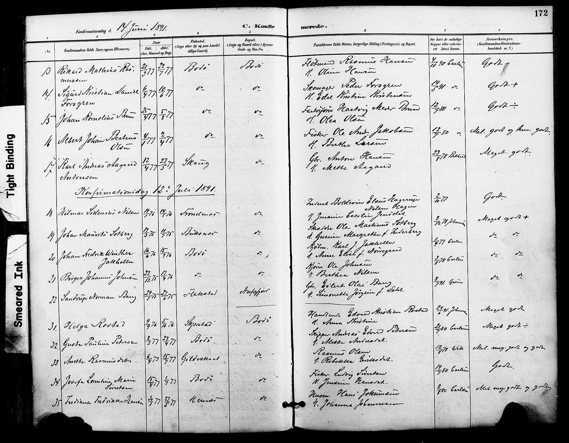 Ministerialprotokoller, klokkerbøker og fødselsregistre - Nordland, AV/SAT-A-1459/801/L0010: Parish register (official) no. 801A10, 1888-1899, p. 172