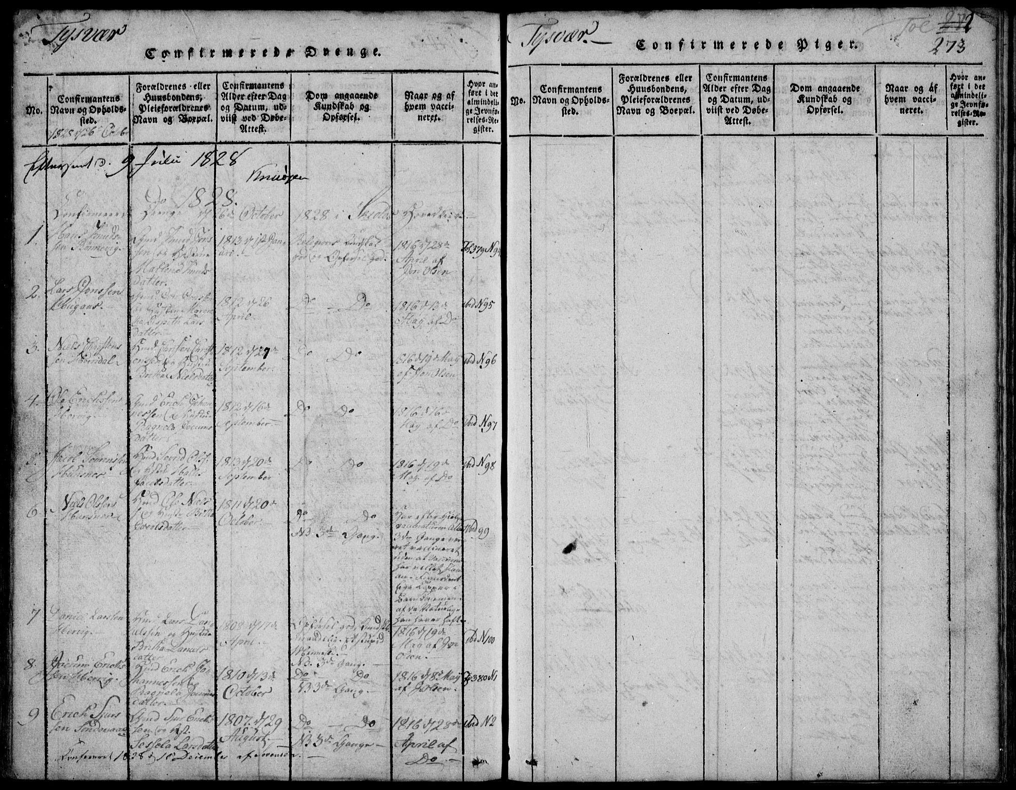 Skjold sokneprestkontor, AV/SAST-A-101847/H/Ha/Hab/L0002: Parish register (copy) no. B 2 /1, 1815-1830, p. 273