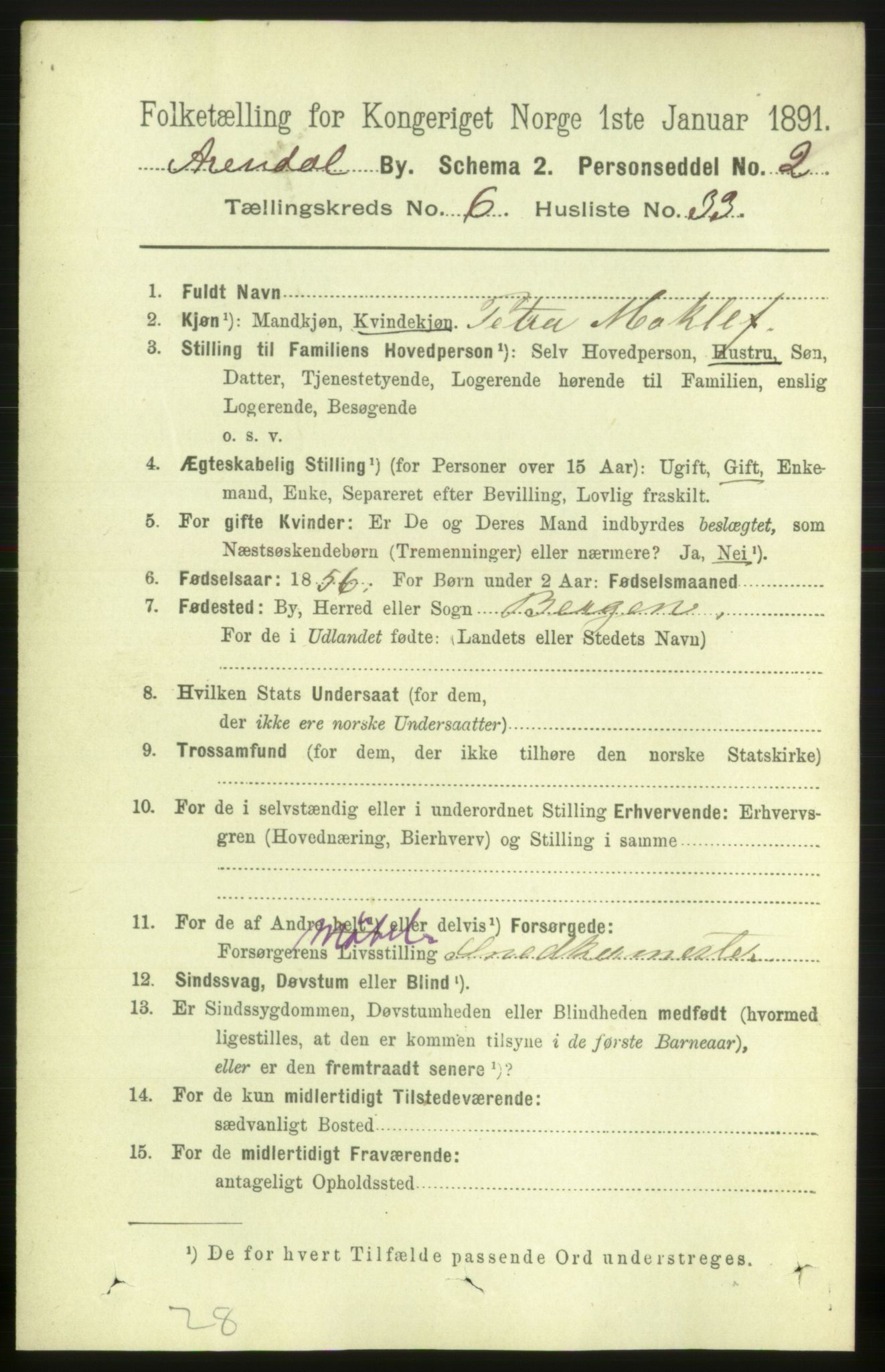 RA, 1891 census for 0903 Arendal, 1891, p. 2517