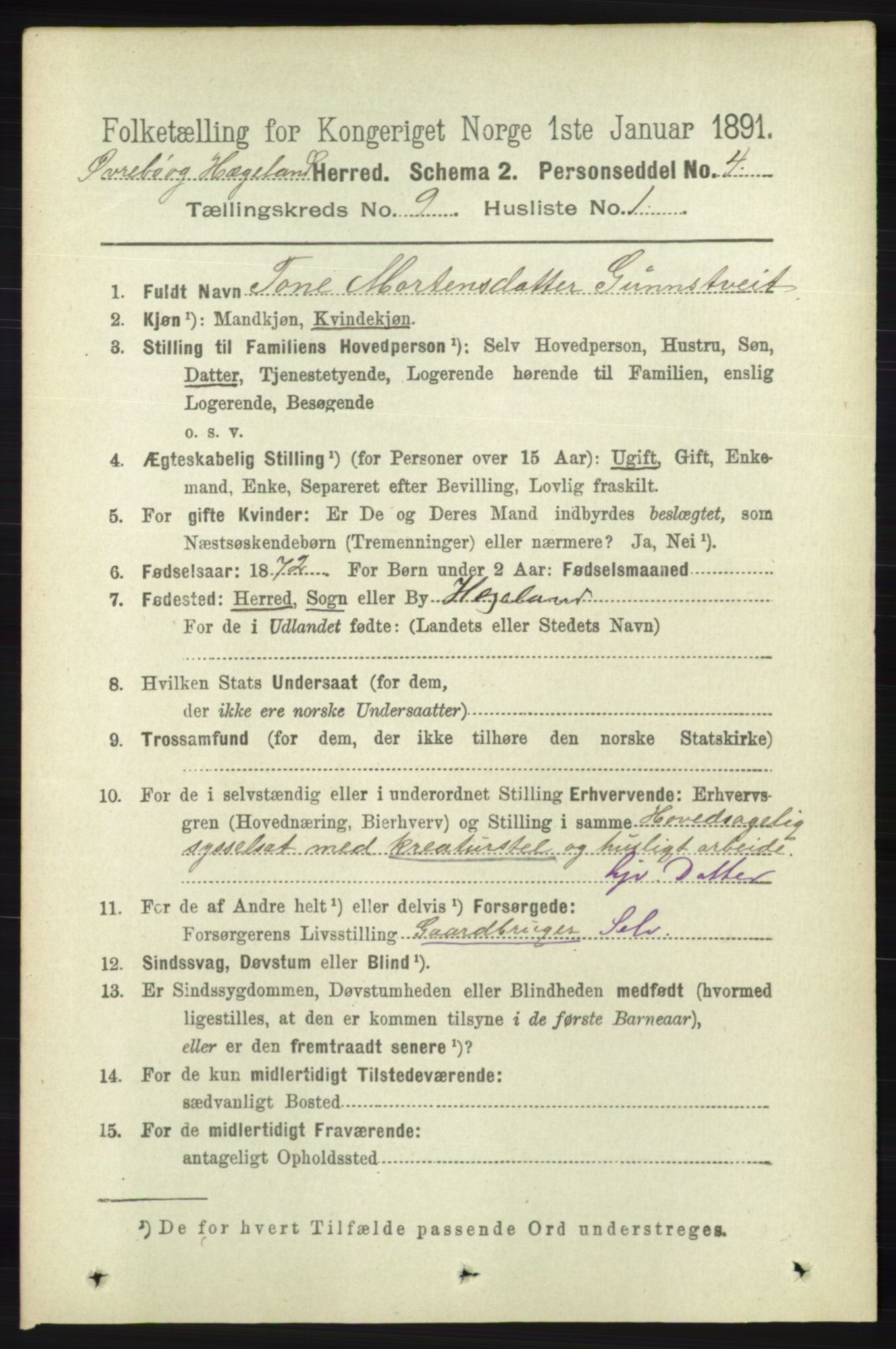 RA, 1891 census for 1016 Øvrebø og Hægeland, 1891, p. 1751