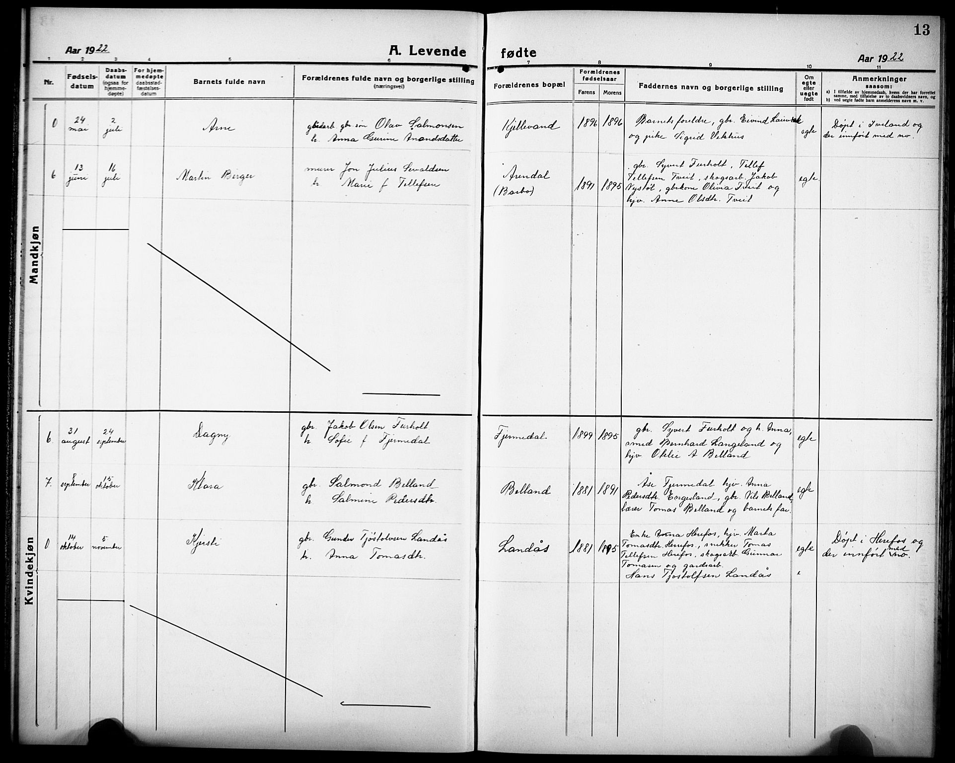 Herefoss sokneprestkontor, AV/SAK-1111-0019/F/Fb/Fbb/L0004: Parish register (copy) no. B 4, 1917-1933, p. 13