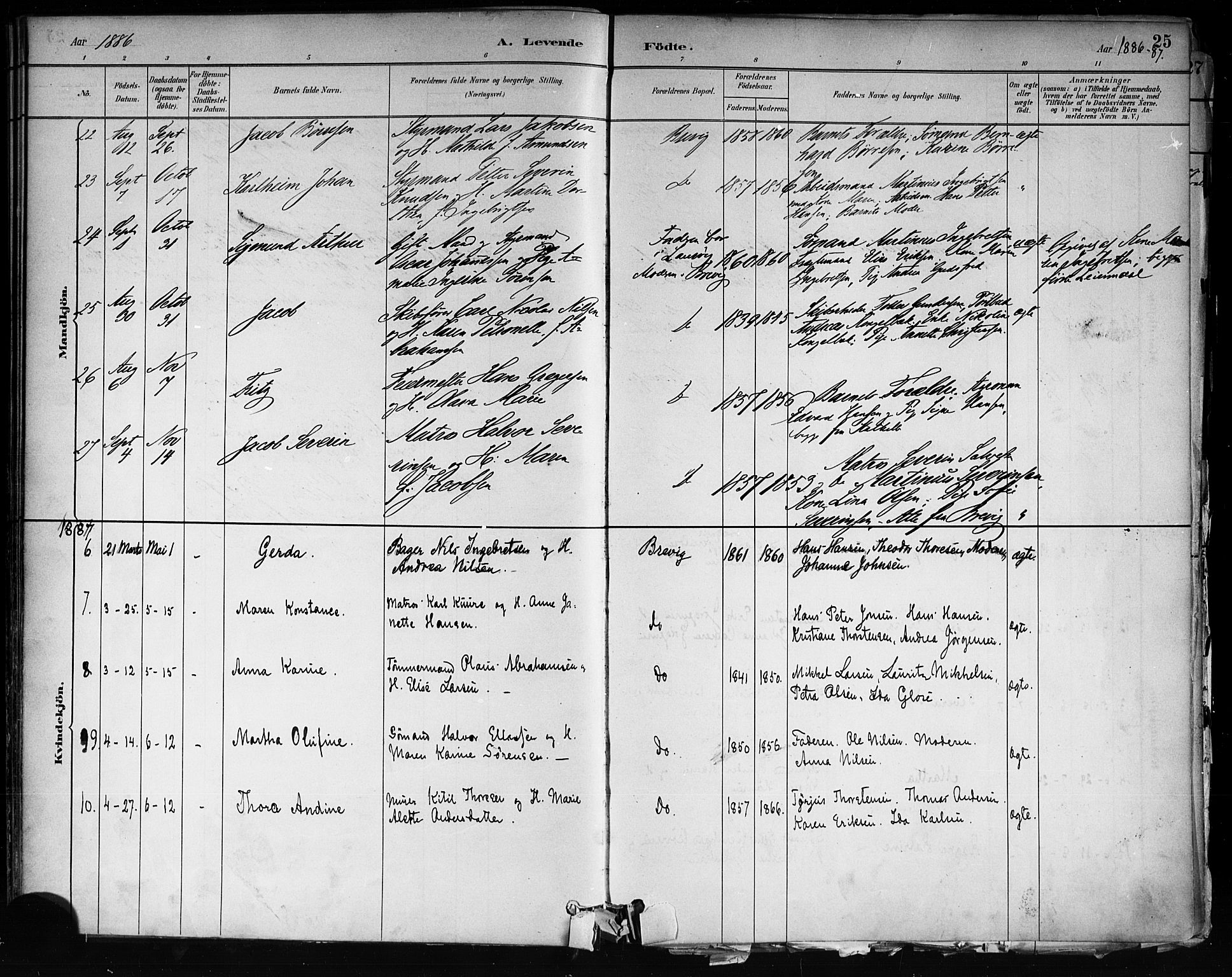 Brevik kirkebøker, SAKO/A-255/F/Fa/L0007: Parish register (official) no. 7, 1882-1900, p. 25