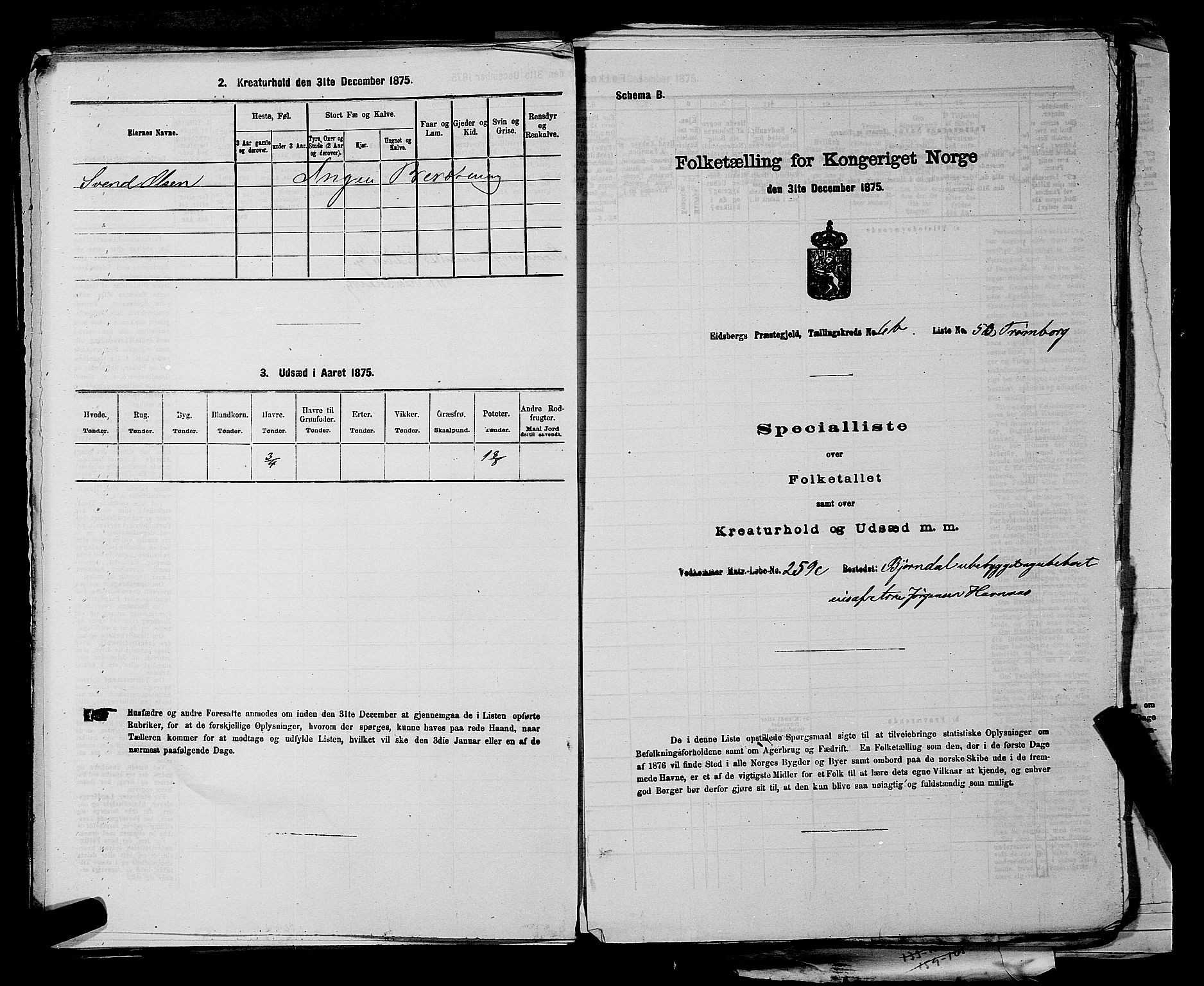 RA, 1875 census for 0125P Eidsberg, 1875, p. 1314