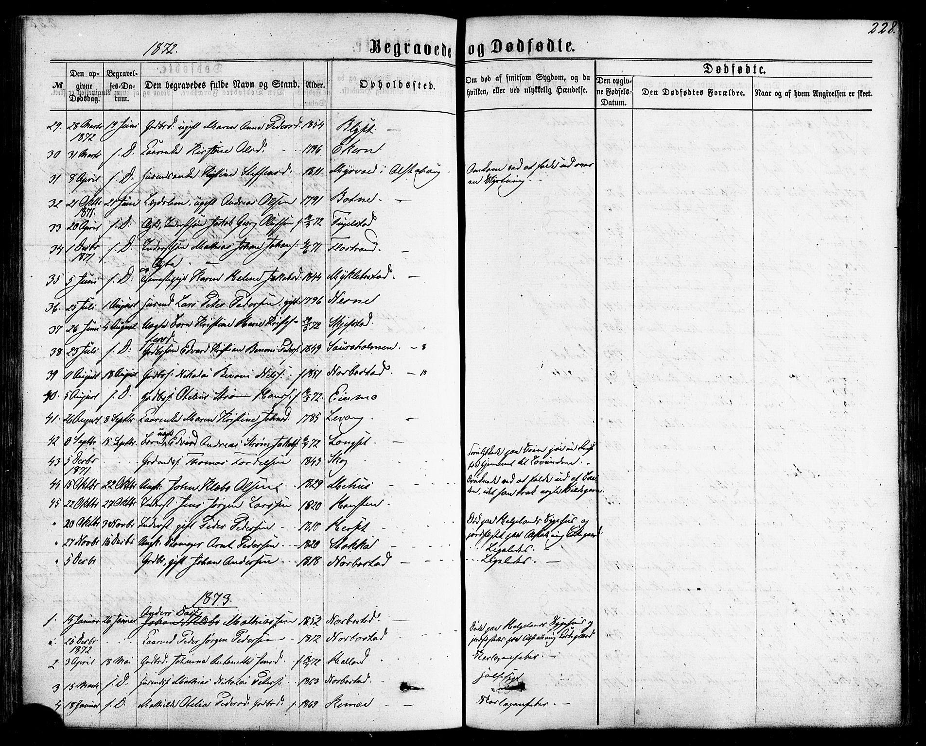 Ministerialprotokoller, klokkerbøker og fødselsregistre - Nordland, AV/SAT-A-1459/838/L0551: Parish register (official) no. 838A09, 1864-1880, p. 228