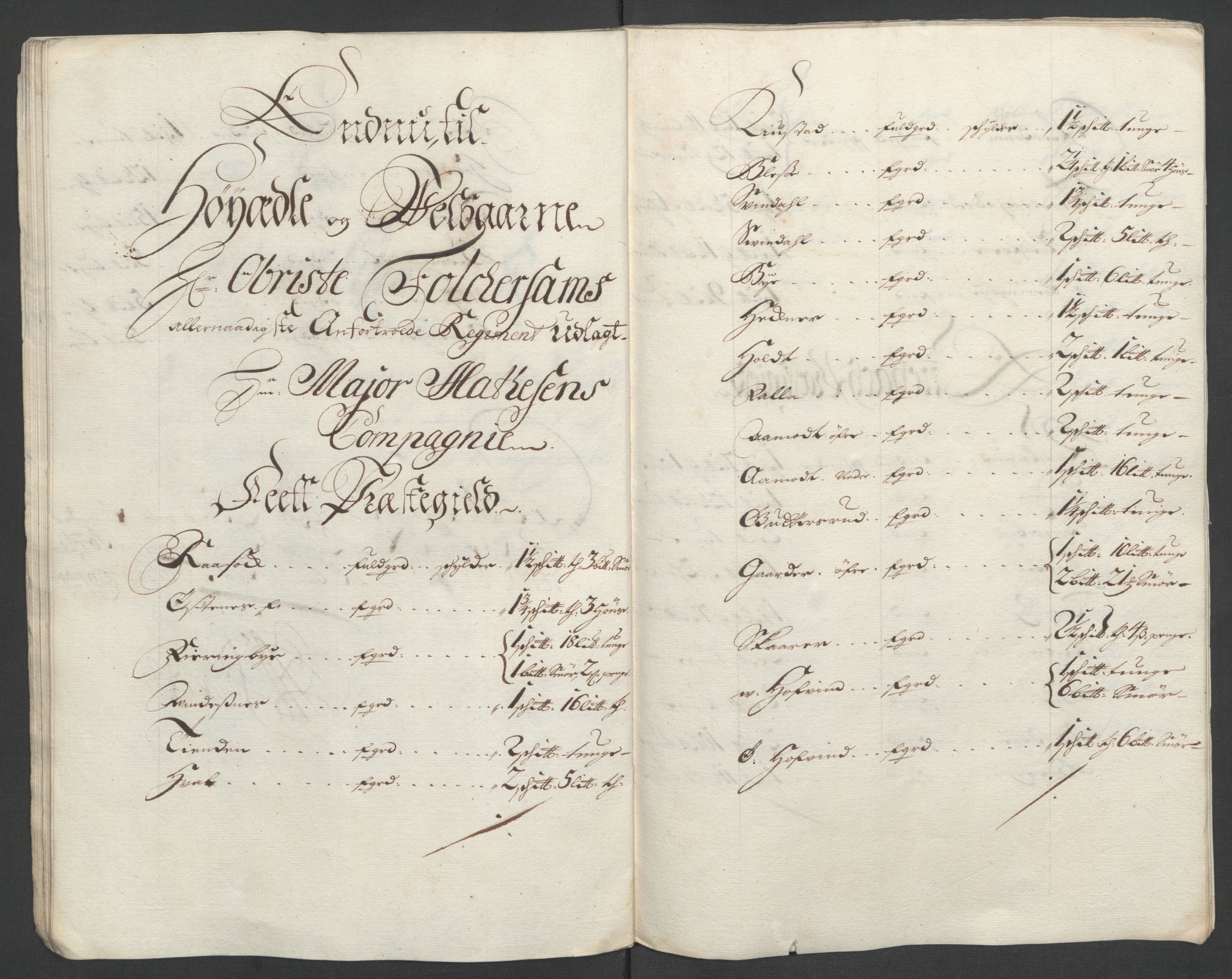 Rentekammeret inntil 1814, Reviderte regnskaper, Fogderegnskap, AV/RA-EA-4092/R11/L0589: Fogderegnskap Nedre Romerike, 1705, p. 267