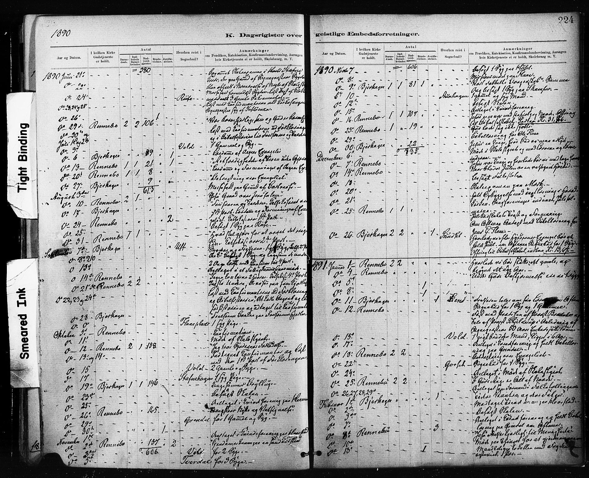Ministerialprotokoller, klokkerbøker og fødselsregistre - Sør-Trøndelag, SAT/A-1456/674/L0871: Parish register (official) no. 674A03, 1880-1896, p. 224