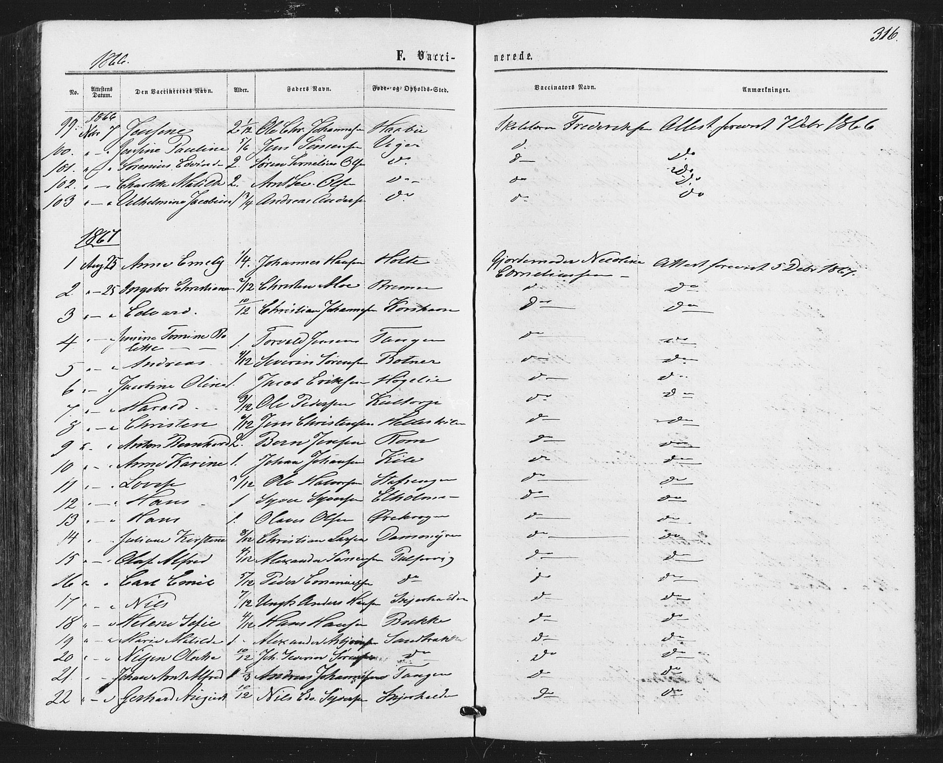 Hvaler prestekontor Kirkebøker, AV/SAO-A-2001/F/Fa/L0007: Parish register (official) no. I 7, 1864-1878, p. 316