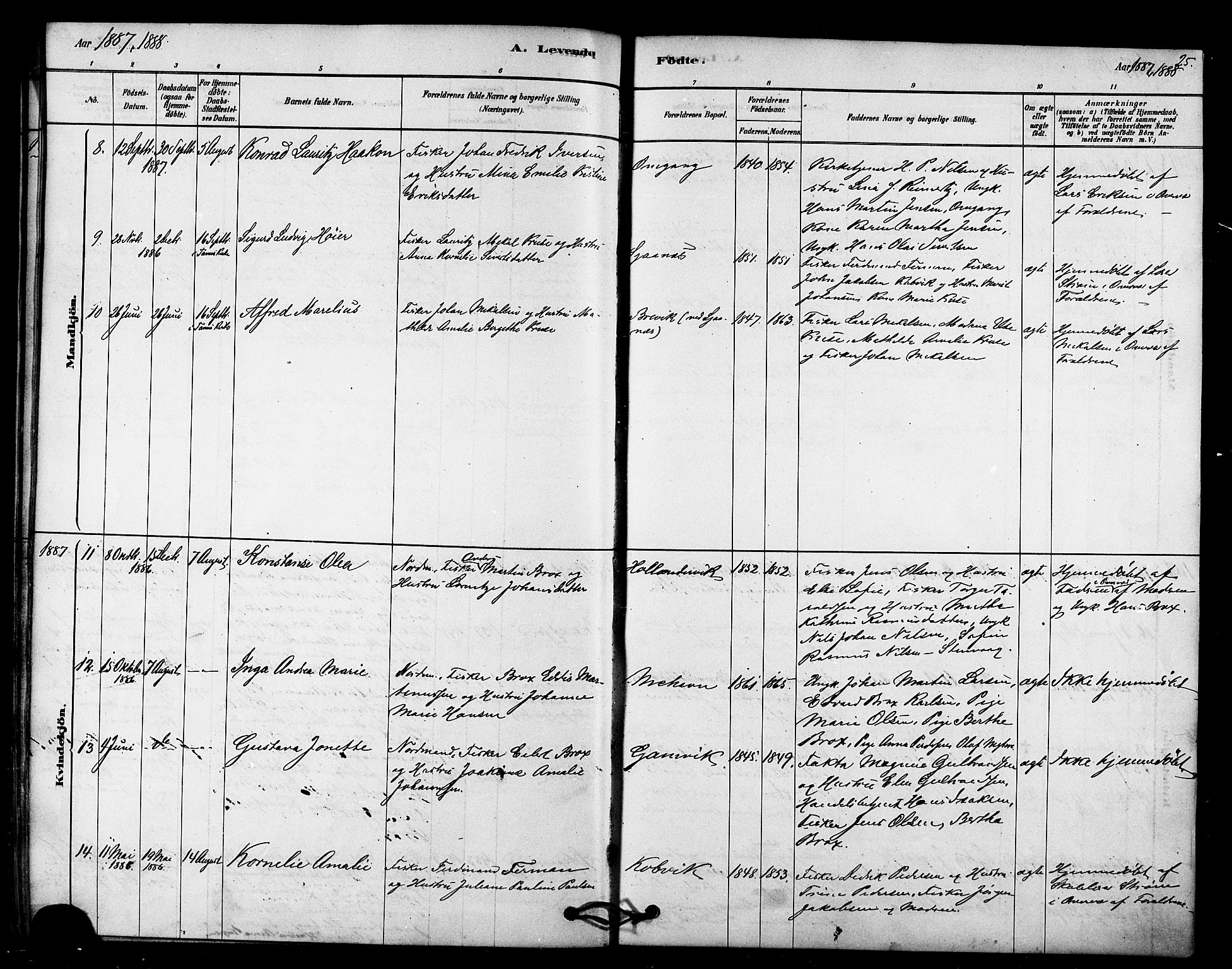 Tana sokneprestkontor, AV/SATØ-S-1334/H/Ha/L0003kirke: Parish register (official) no. 3, 1878-1892, p. 25