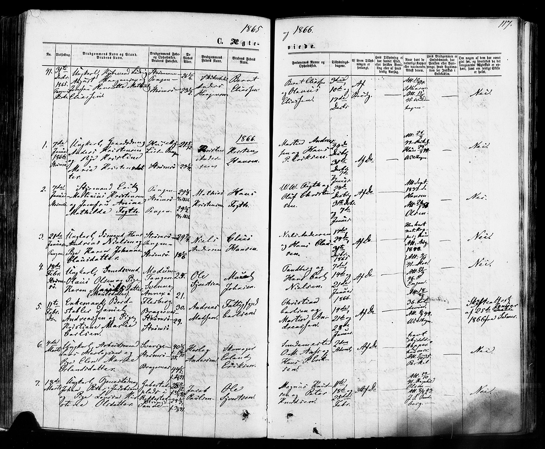 Strømsø kirkebøker, AV/SAKO-A-246/F/Fa/L0018: Parish register (official) no. I 18, 1865-1878, p. 117