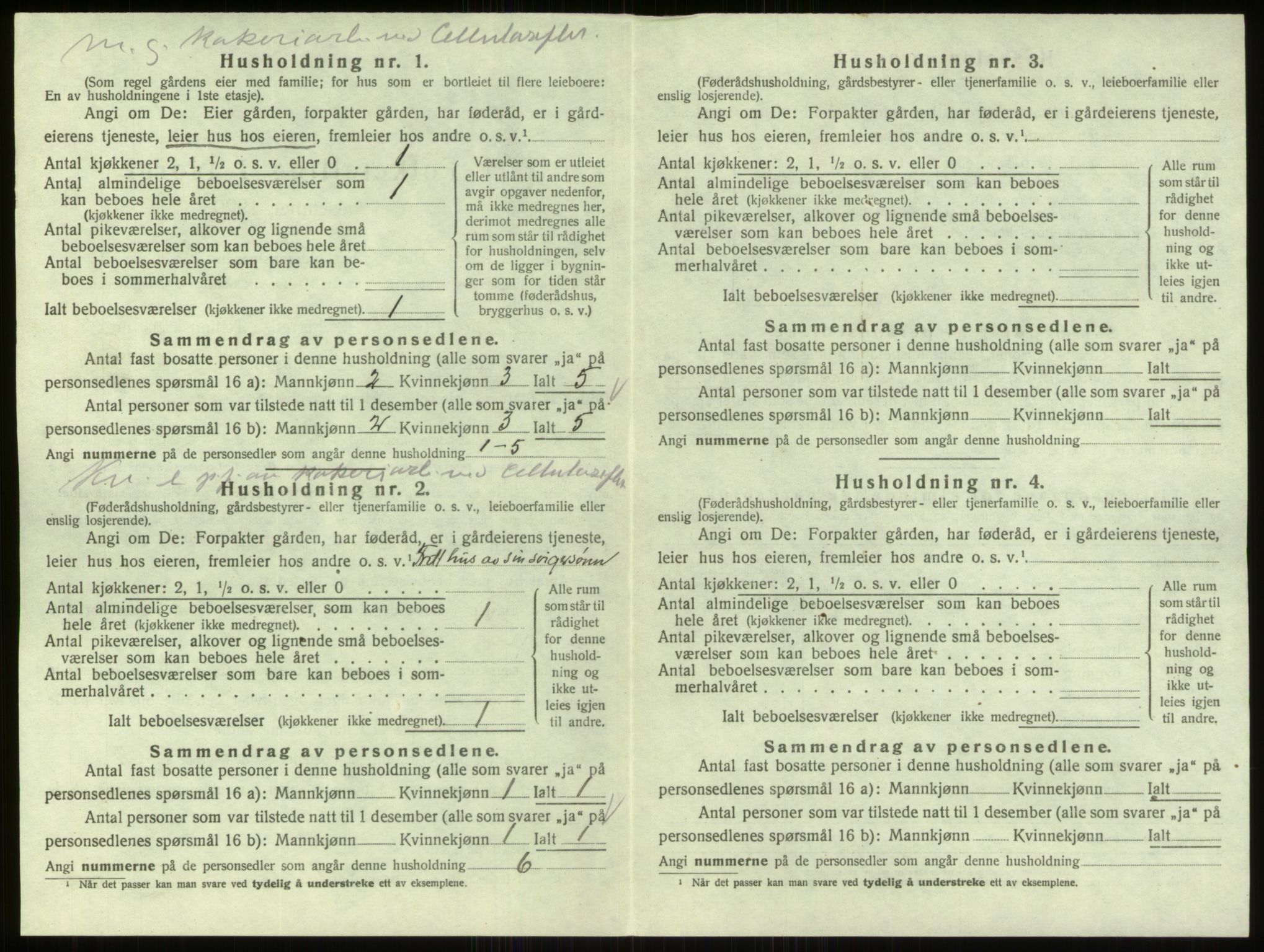 SAO, 1920 census for Skjeberg, 1920, p. 1993