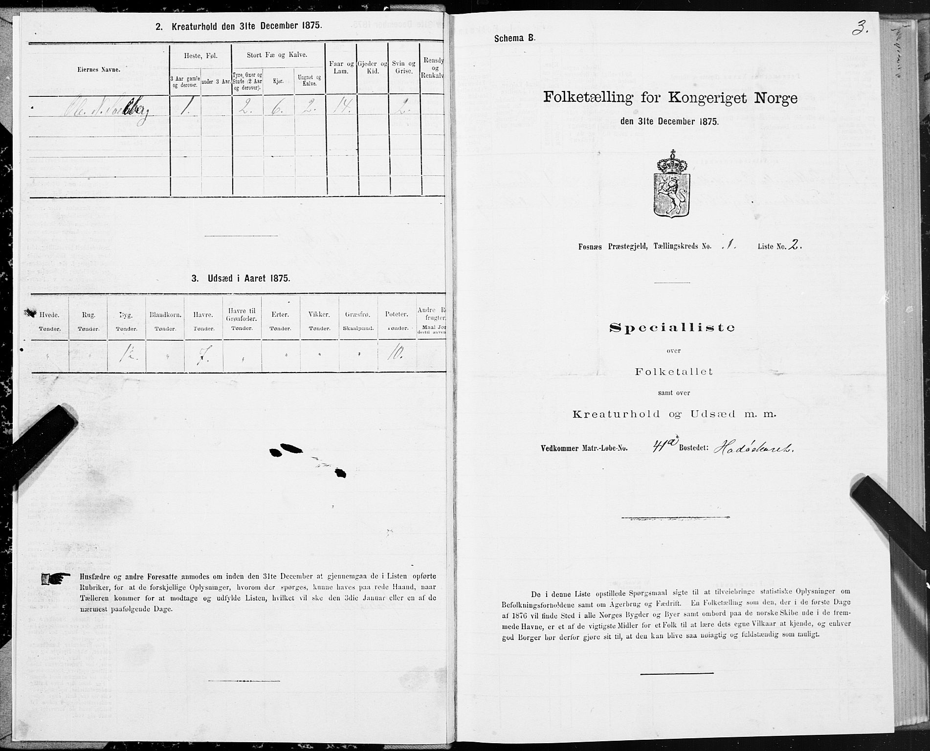 SAT, 1875 census for 1748P Fosnes, 1875, p. 3003