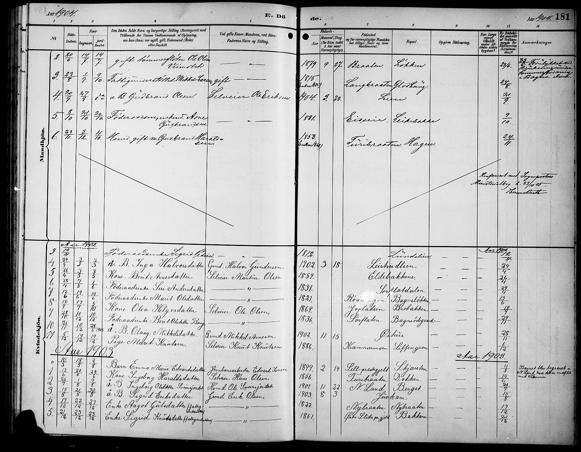 Sør-Aurdal prestekontor, AV/SAH-PREST-128/H/Ha/Hab/L0009: Parish register (copy) no. 9, 1894-1924, p. 181