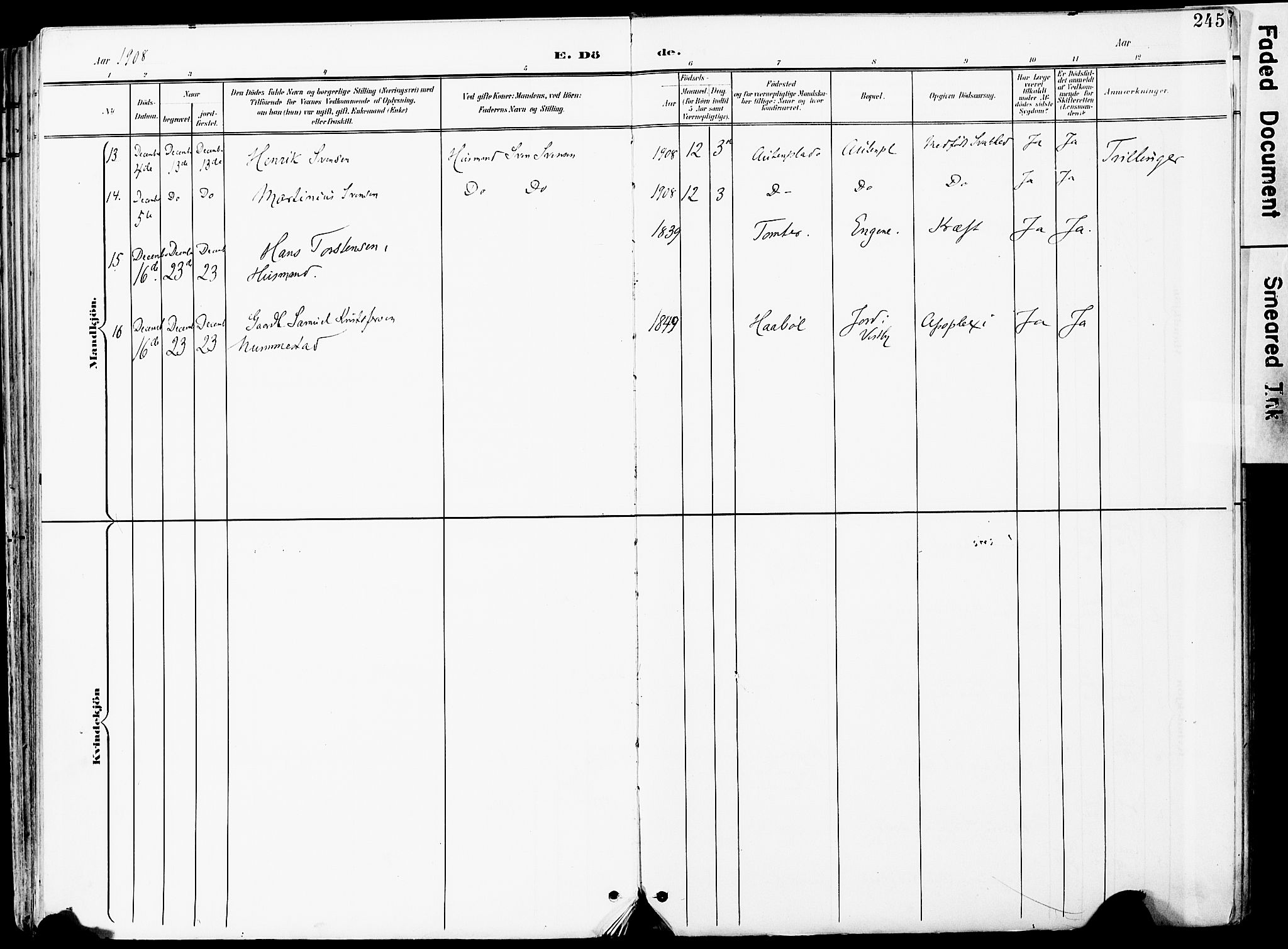 Vestby prestekontor Kirkebøker, AV/SAO-A-10893/F/Fa/L0010: Parish register (official) no. I 10, 1900-1926, p. 245