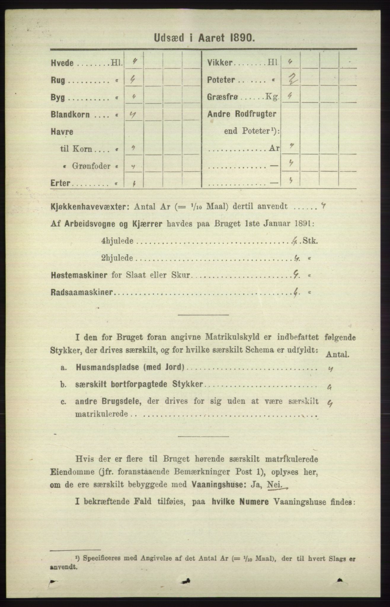 RA, 1891 census for 1251 Bruvik, 1891, p. 4619