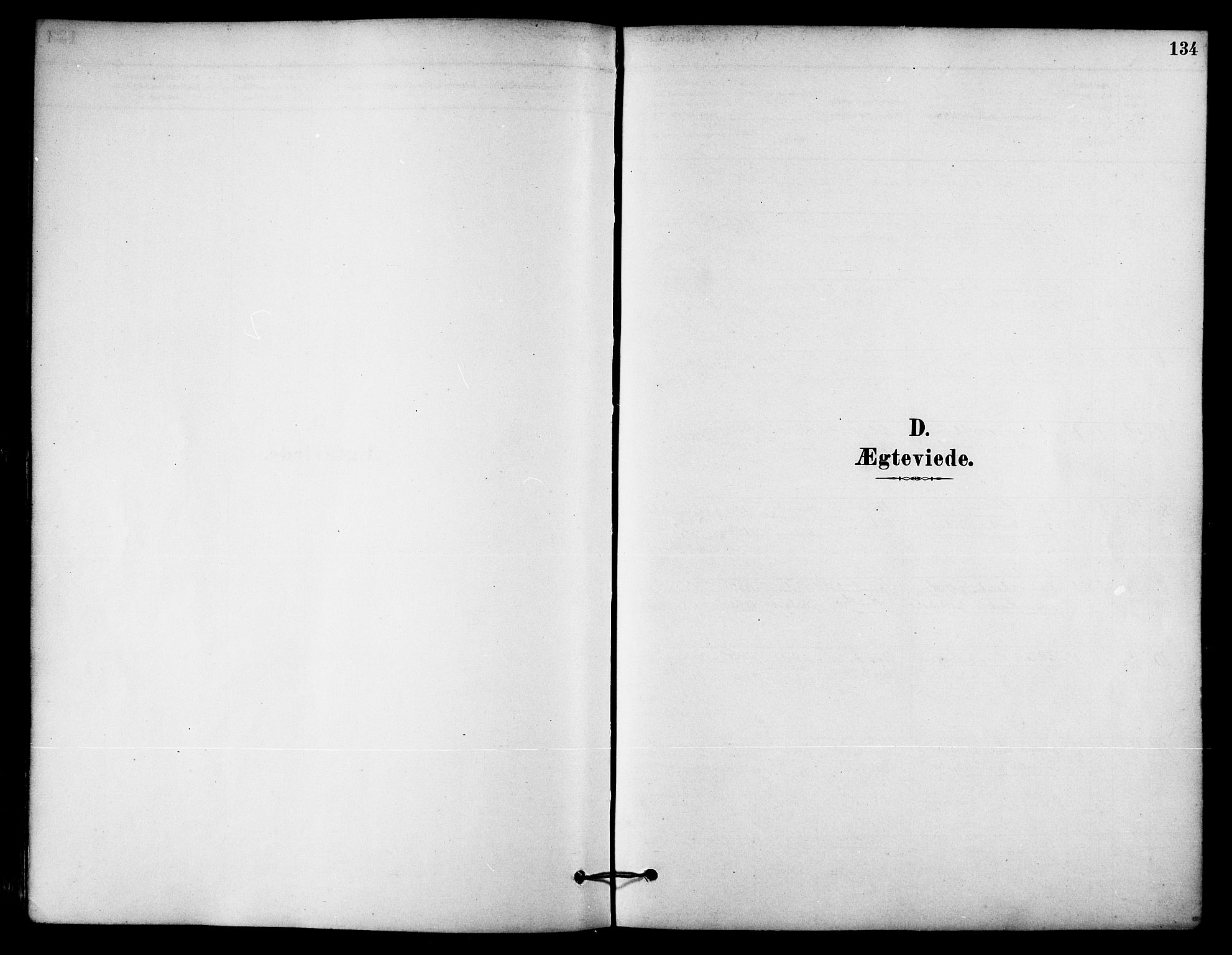 Ministerialprotokoller, klokkerbøker og fødselsregistre - Nordland, SAT/A-1459/823/L0325: Parish register (official) no. 823A02, 1878-1898, p. 134