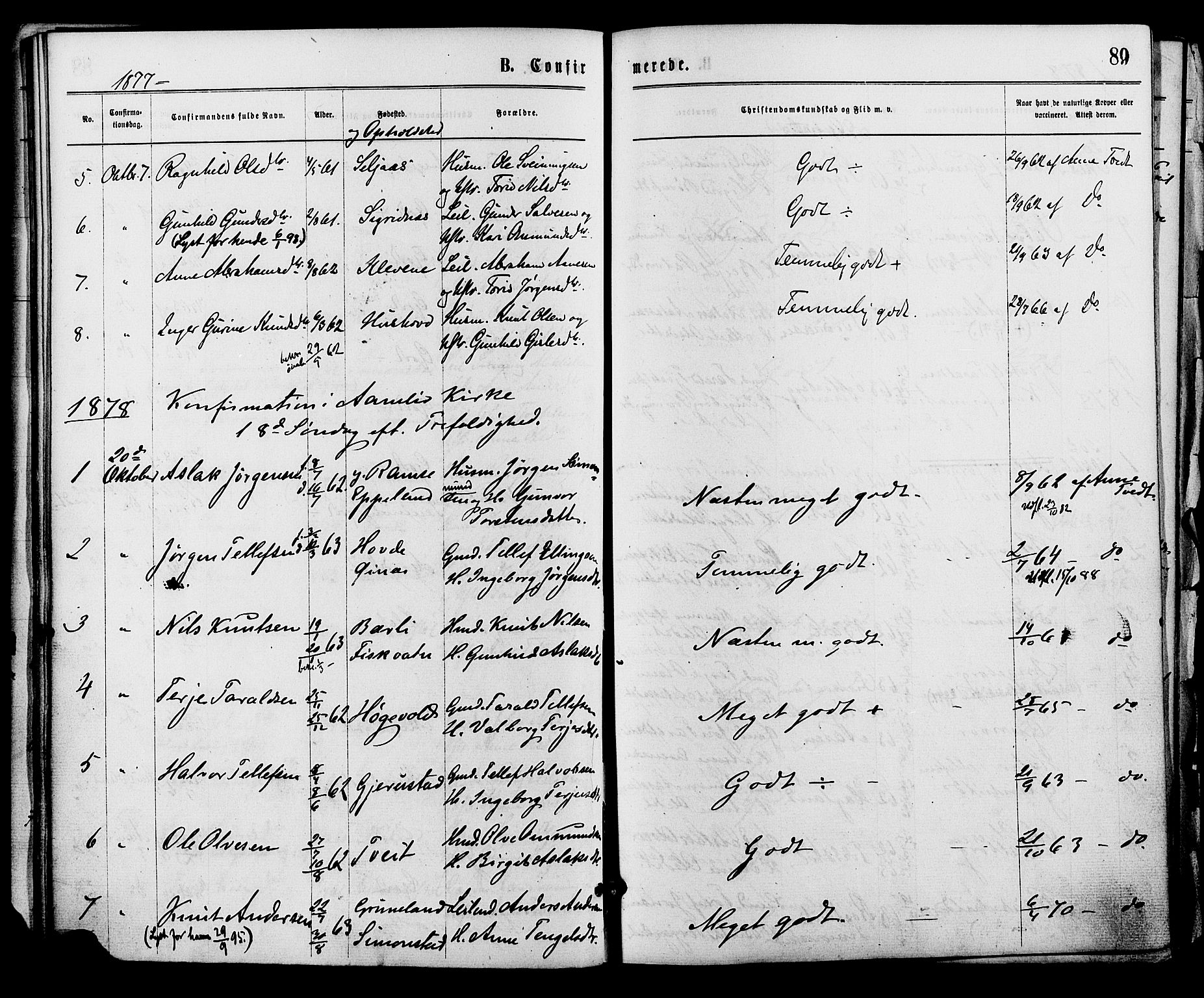 Åmli sokneprestkontor, AV/SAK-1111-0050/F/Fa/Fac/L0009: Parish register (official) no. A 9 /1, 1869-1884, p. 89